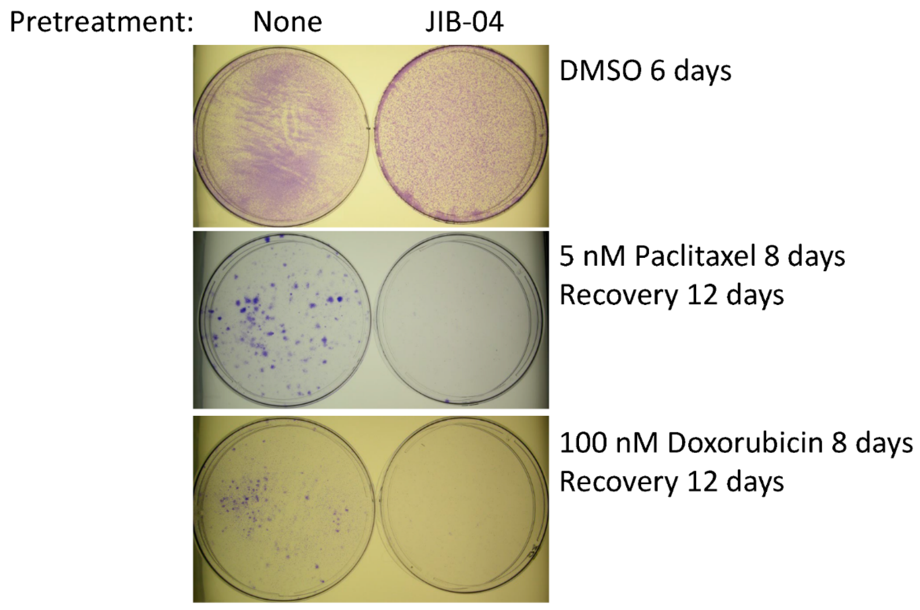 Cancers 14 02631 g002