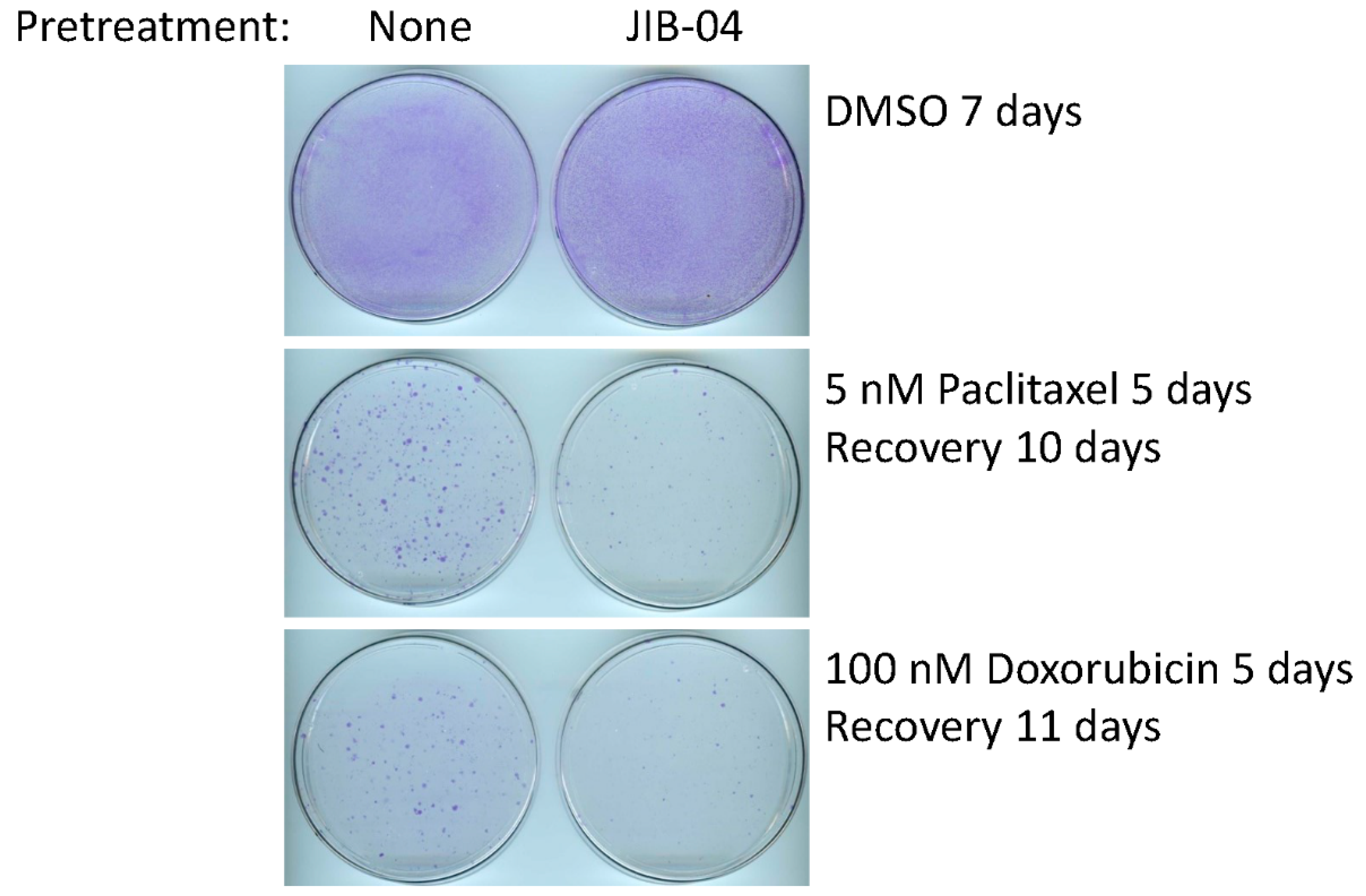 Cancers 14 02631 g003