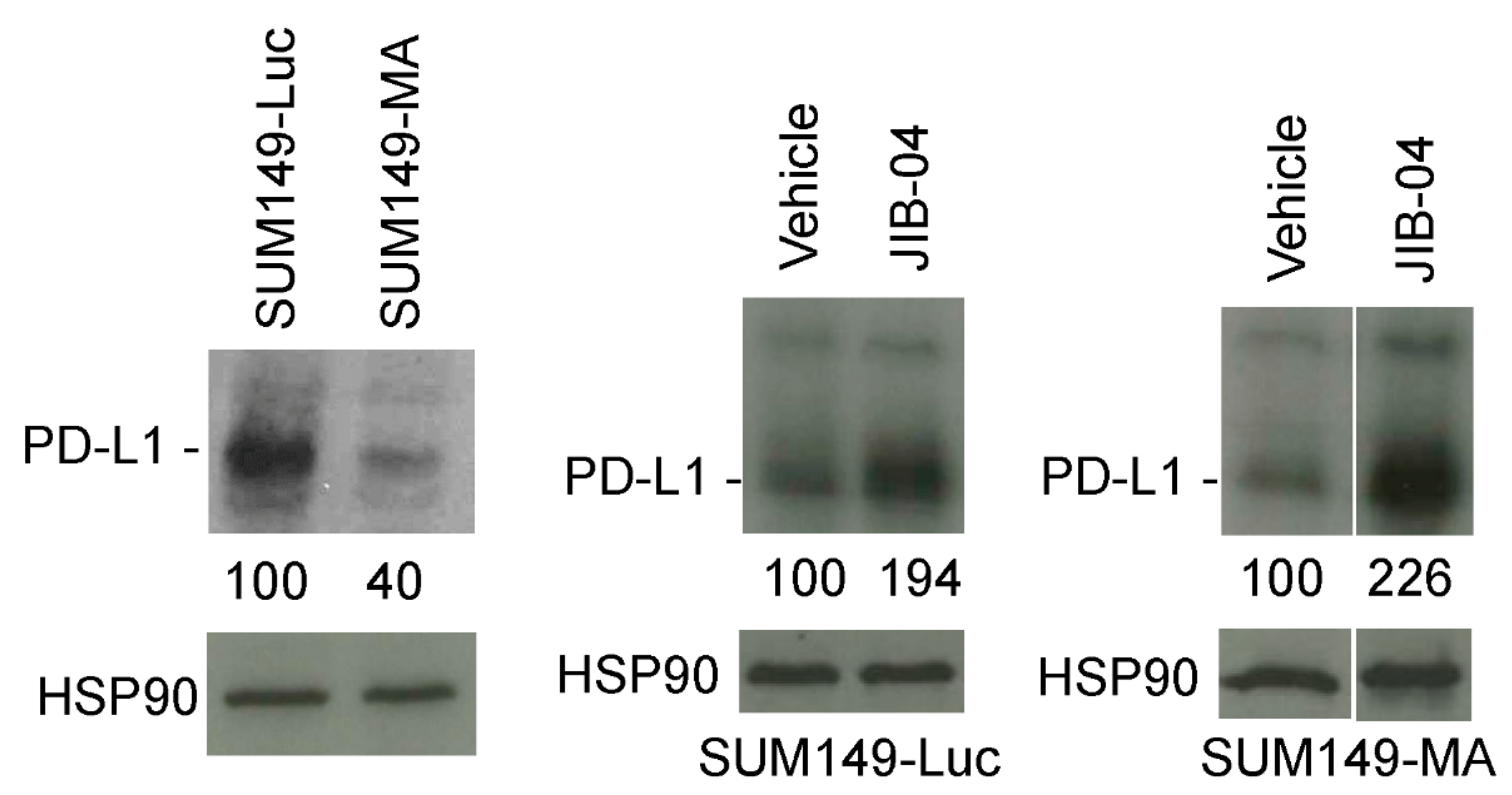 Cancers 14 02631 g004