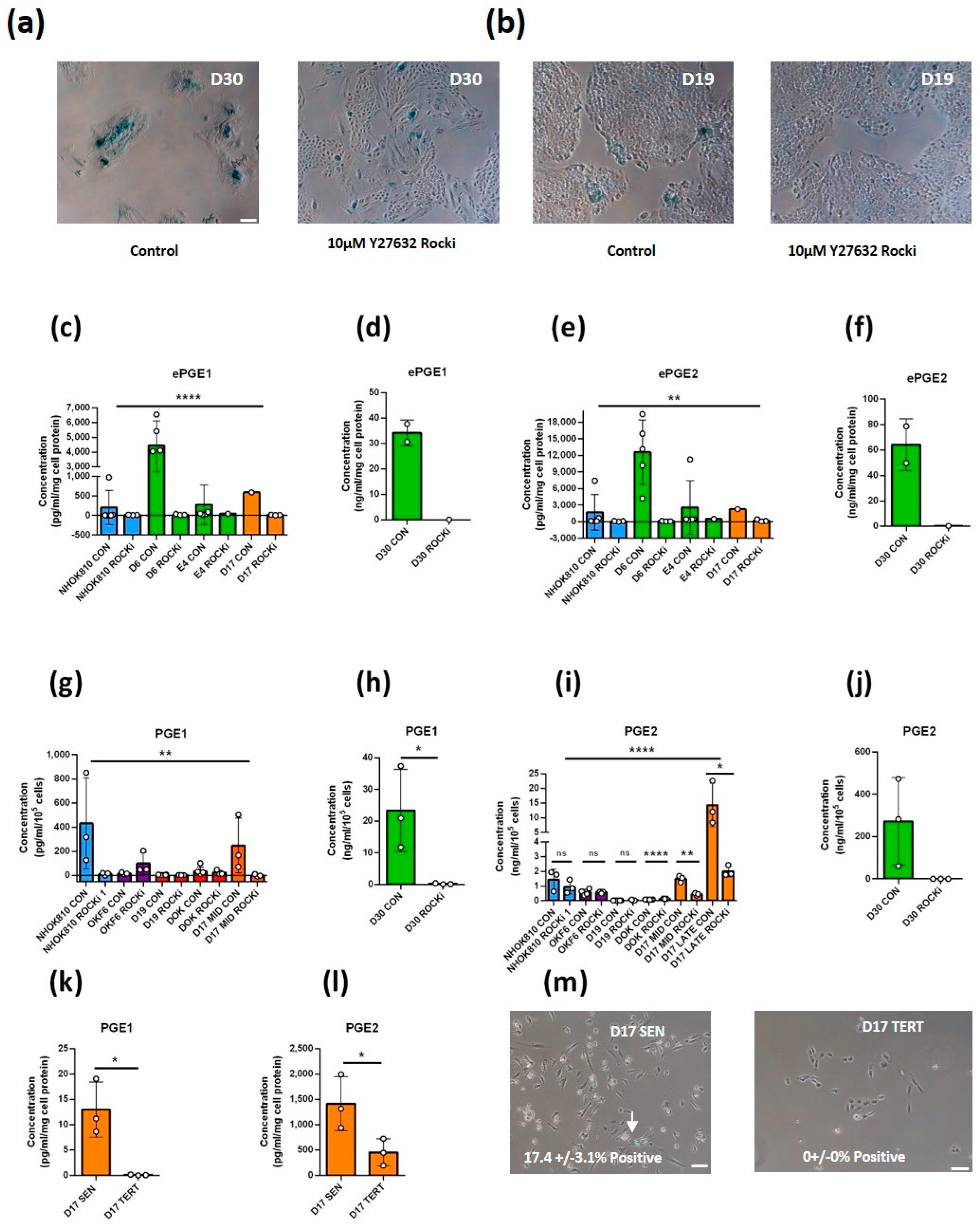 Cancers 14 02636 g002