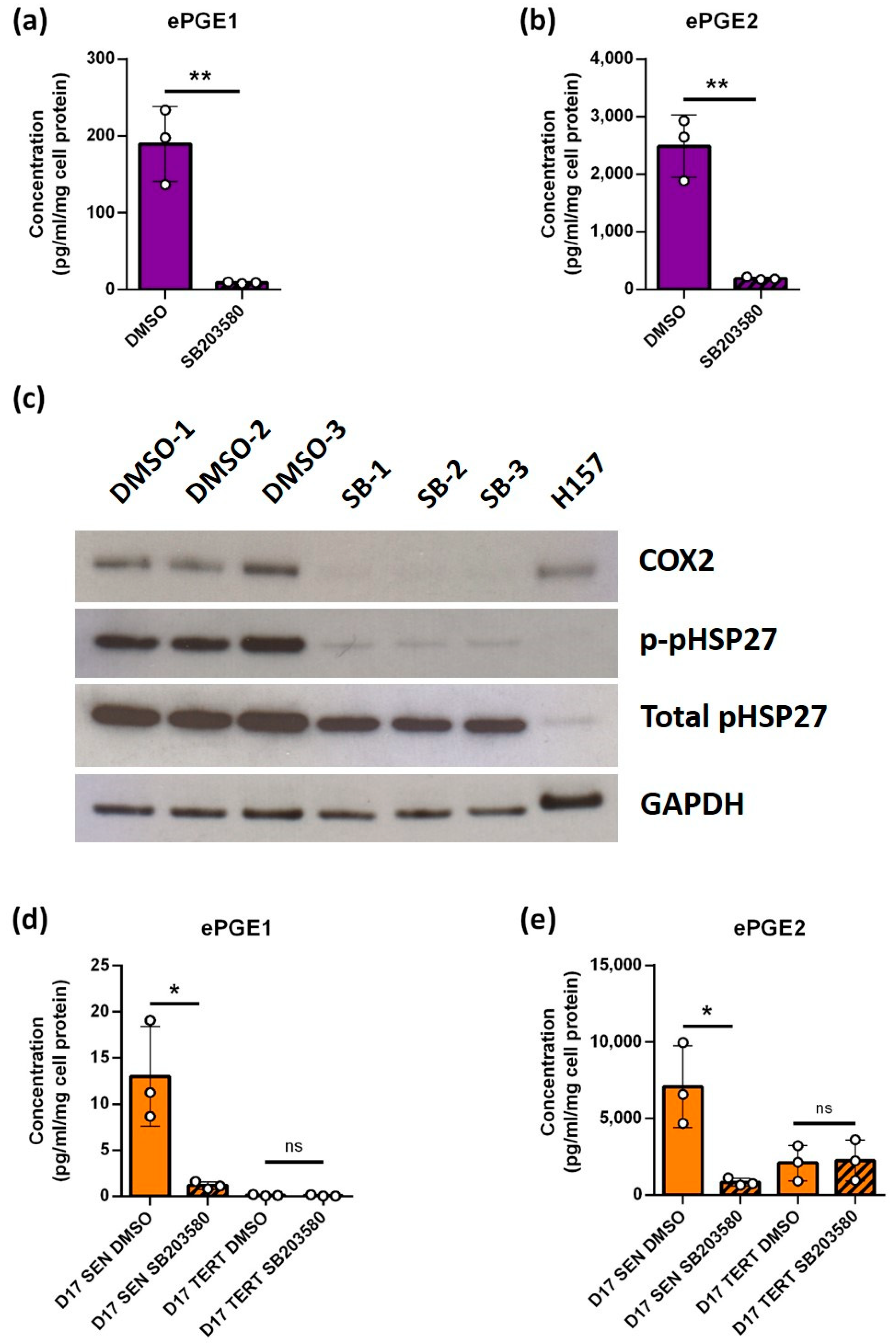 Cancers 14 02636 g004