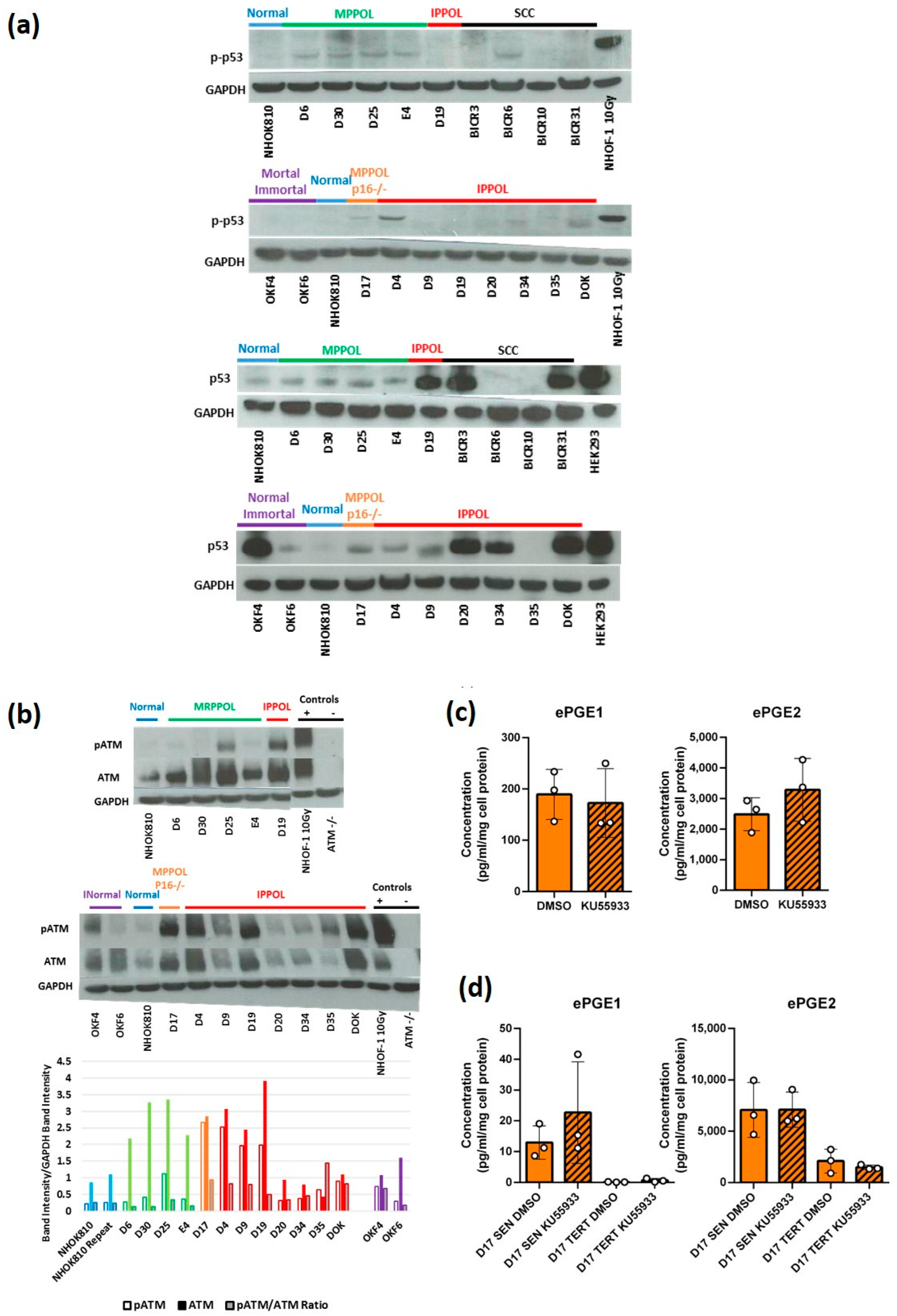 Cancers 14 02636 g005