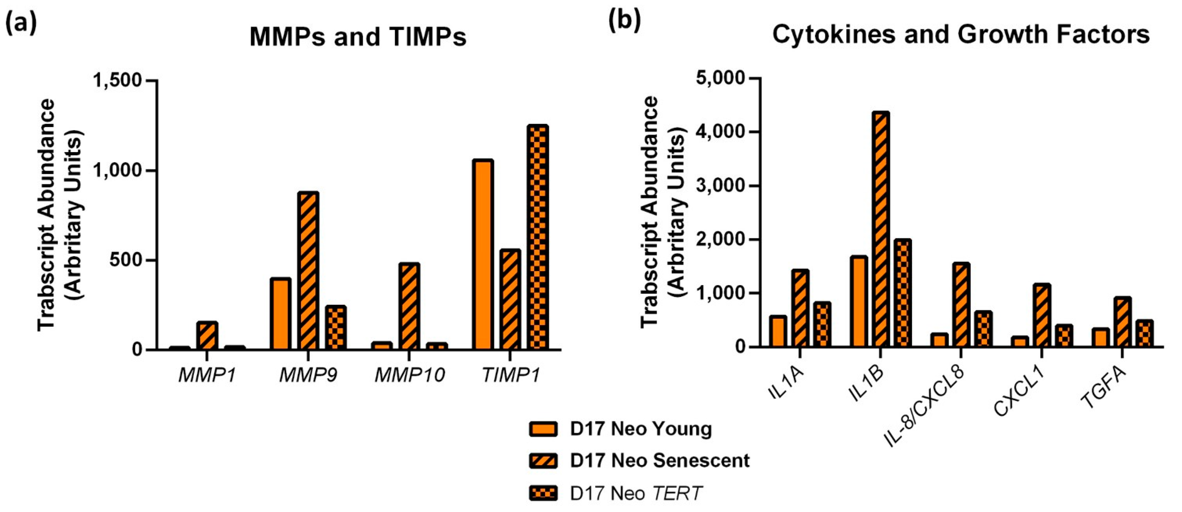 Cancers 14 02636 g007
