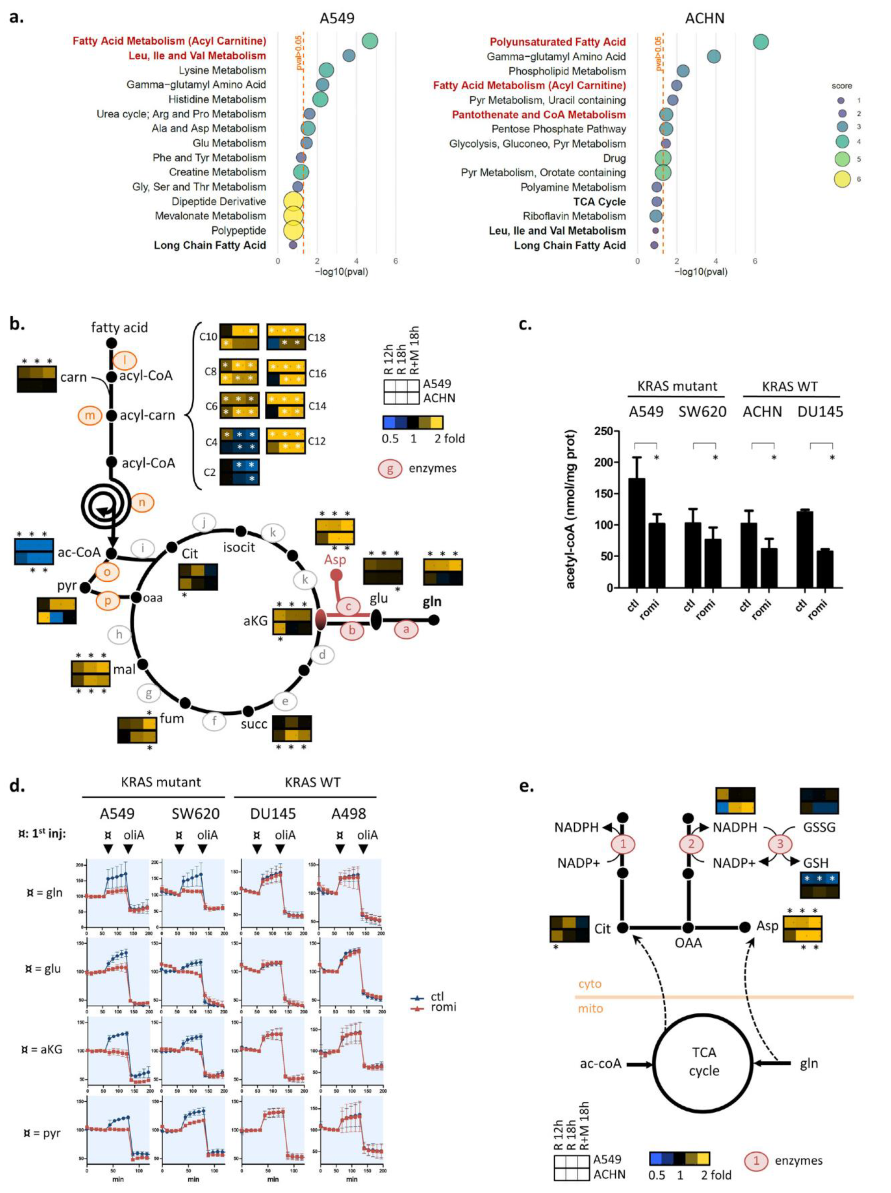 Cancers 14 02643 g004 Cancers 14 02643 g004