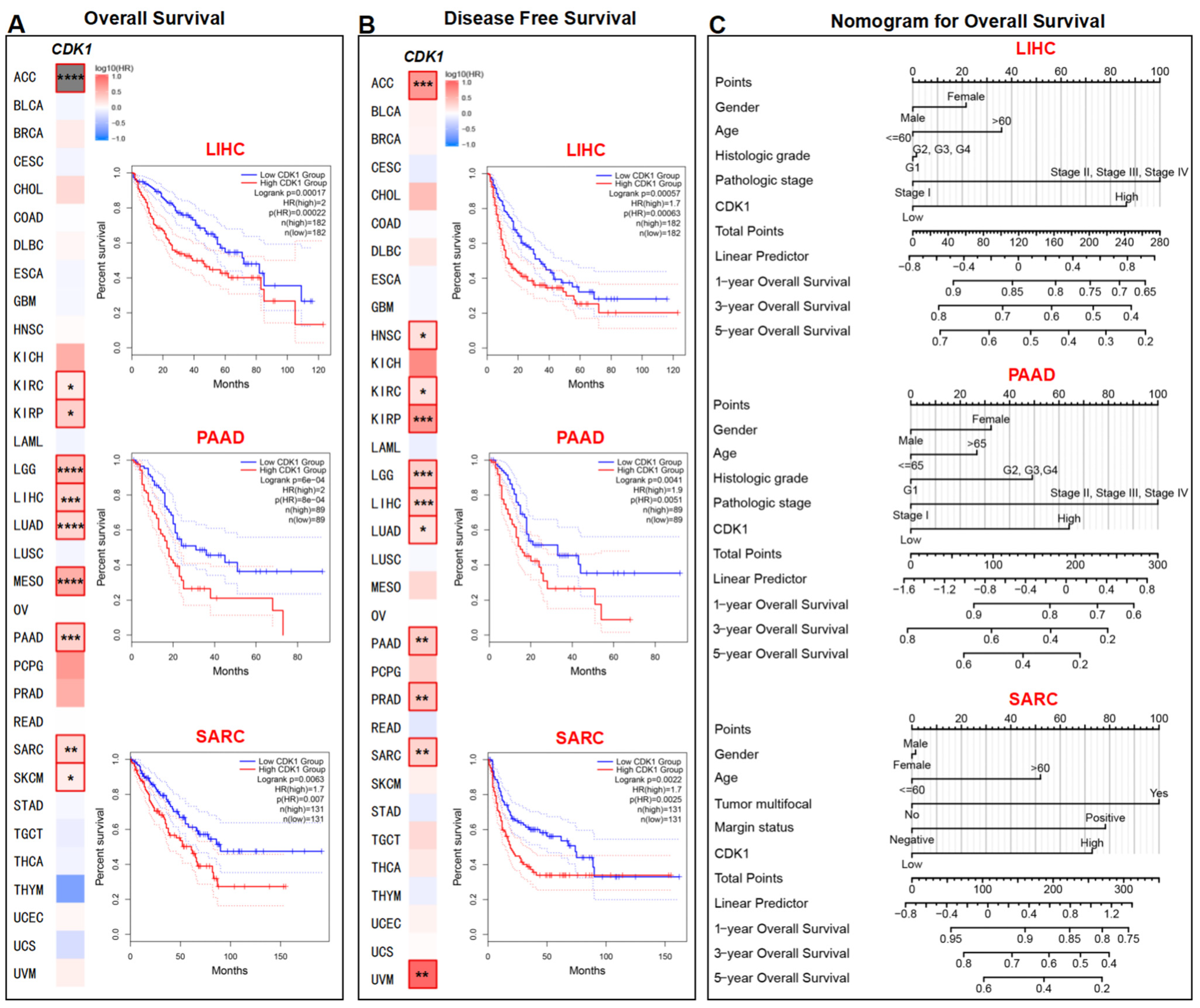Cancers 14 02658 g004
