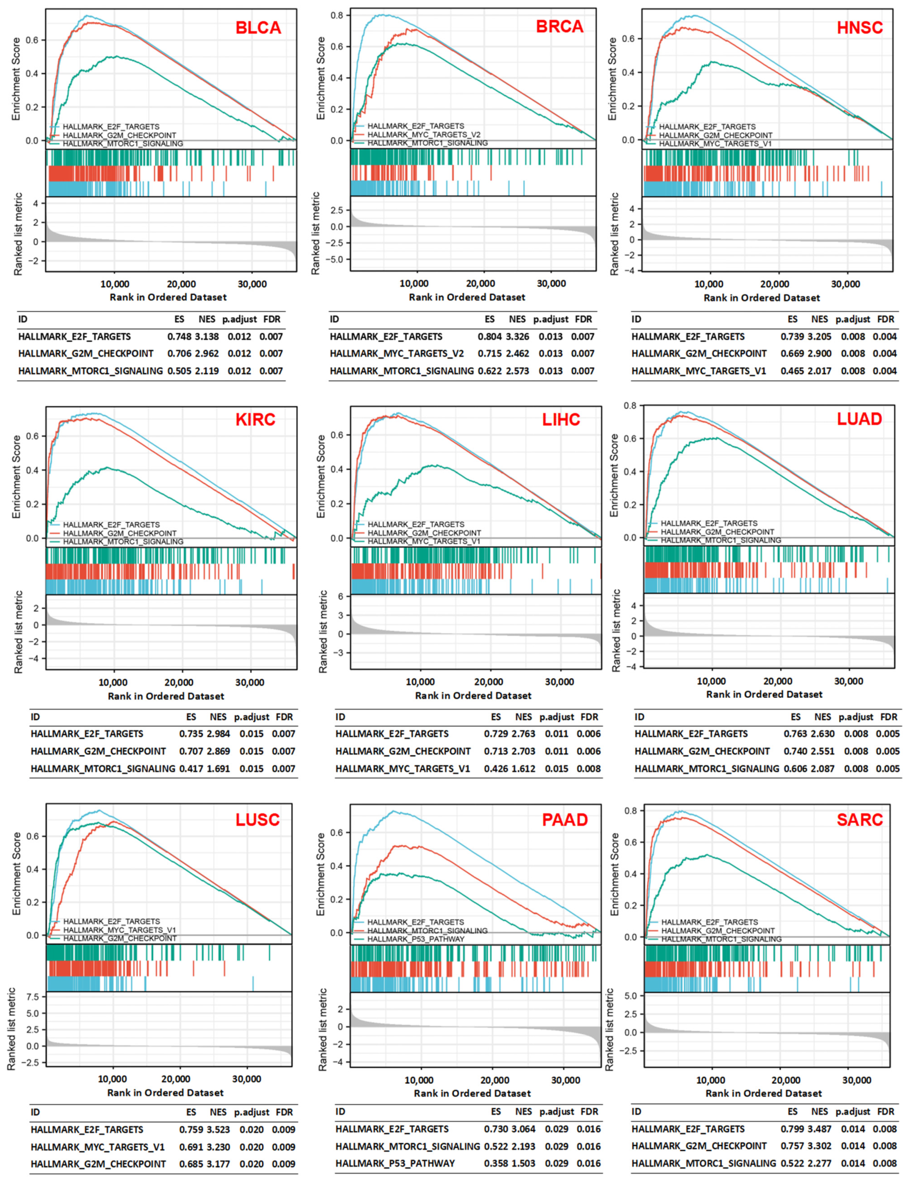 Cancers 14 02658 g006