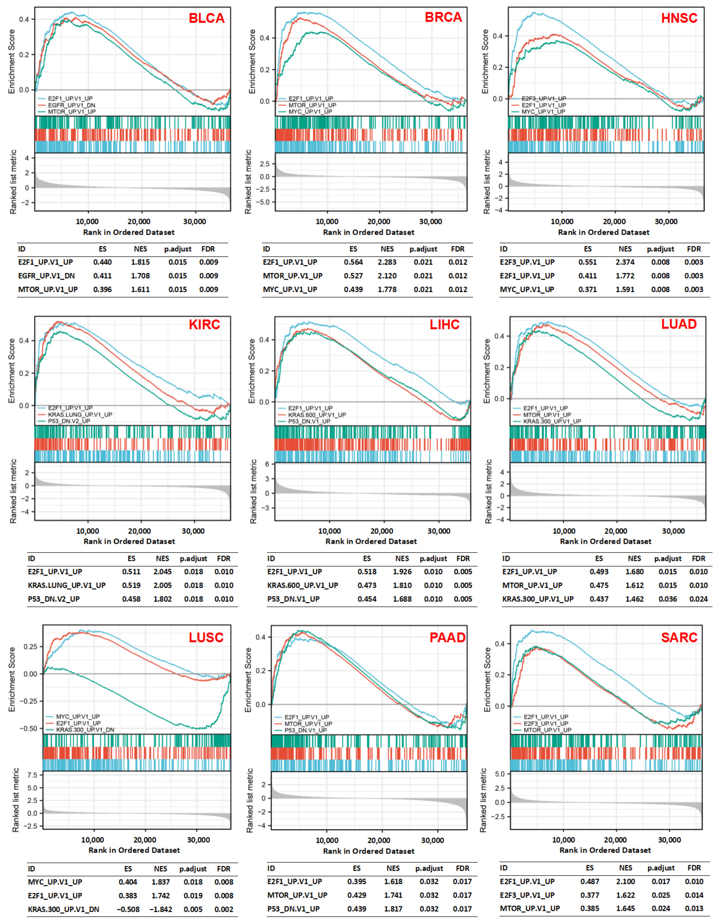 Cancers 14 02658 g007