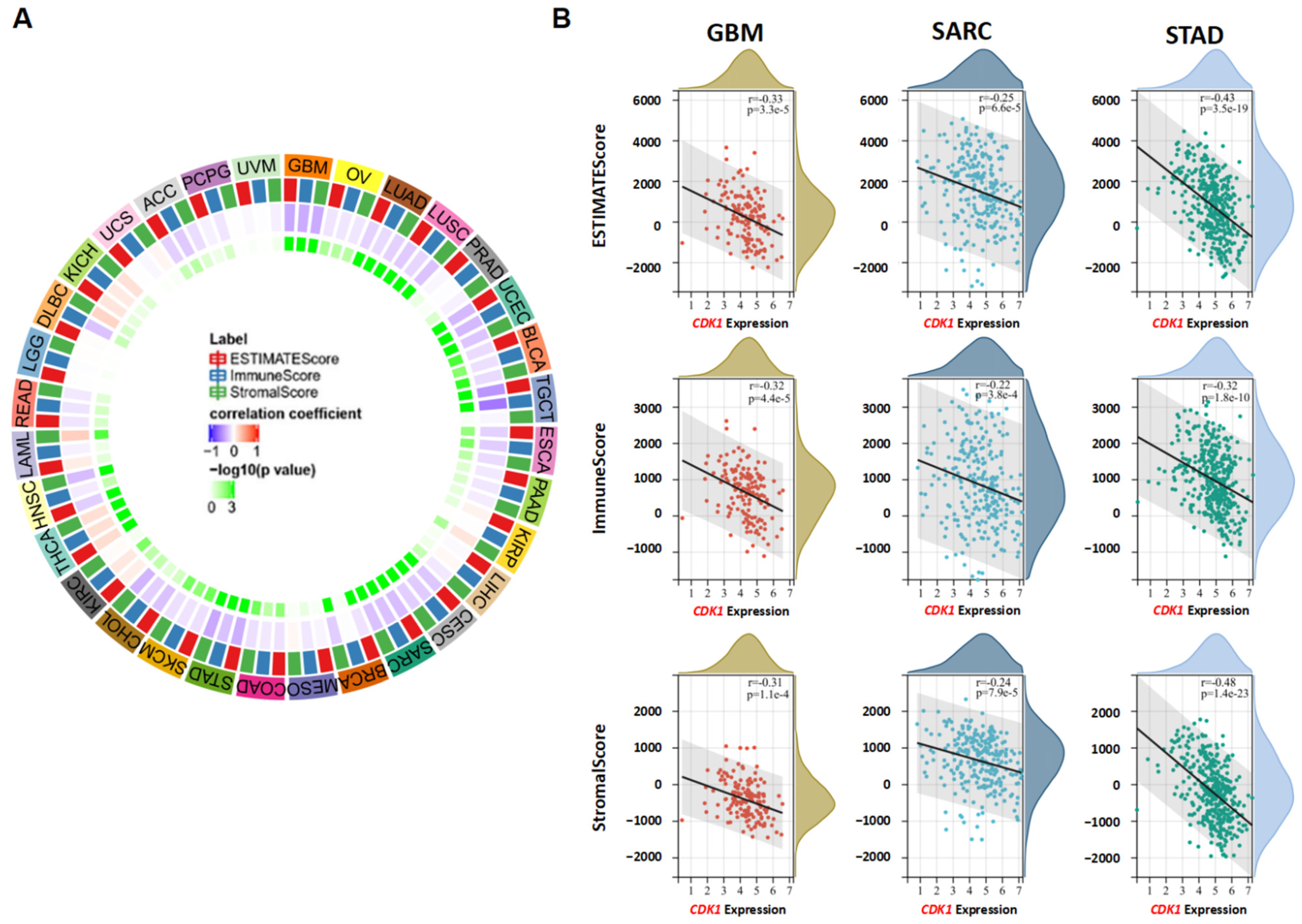 Cancers 14 02658 g008