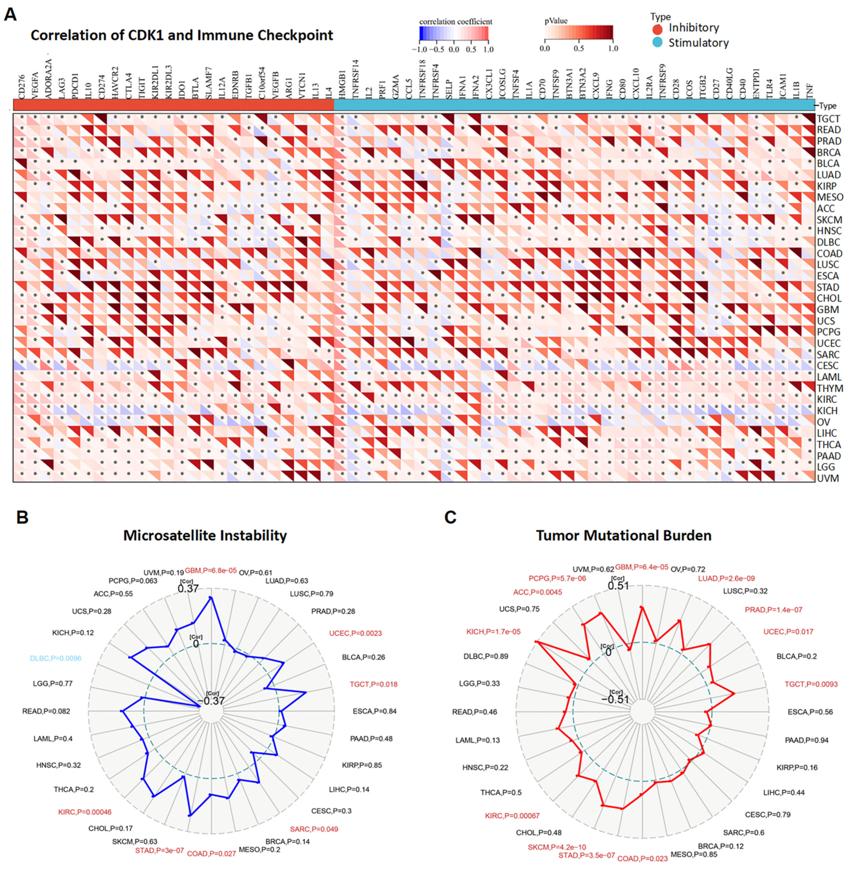 Cancers 14 02658 g011