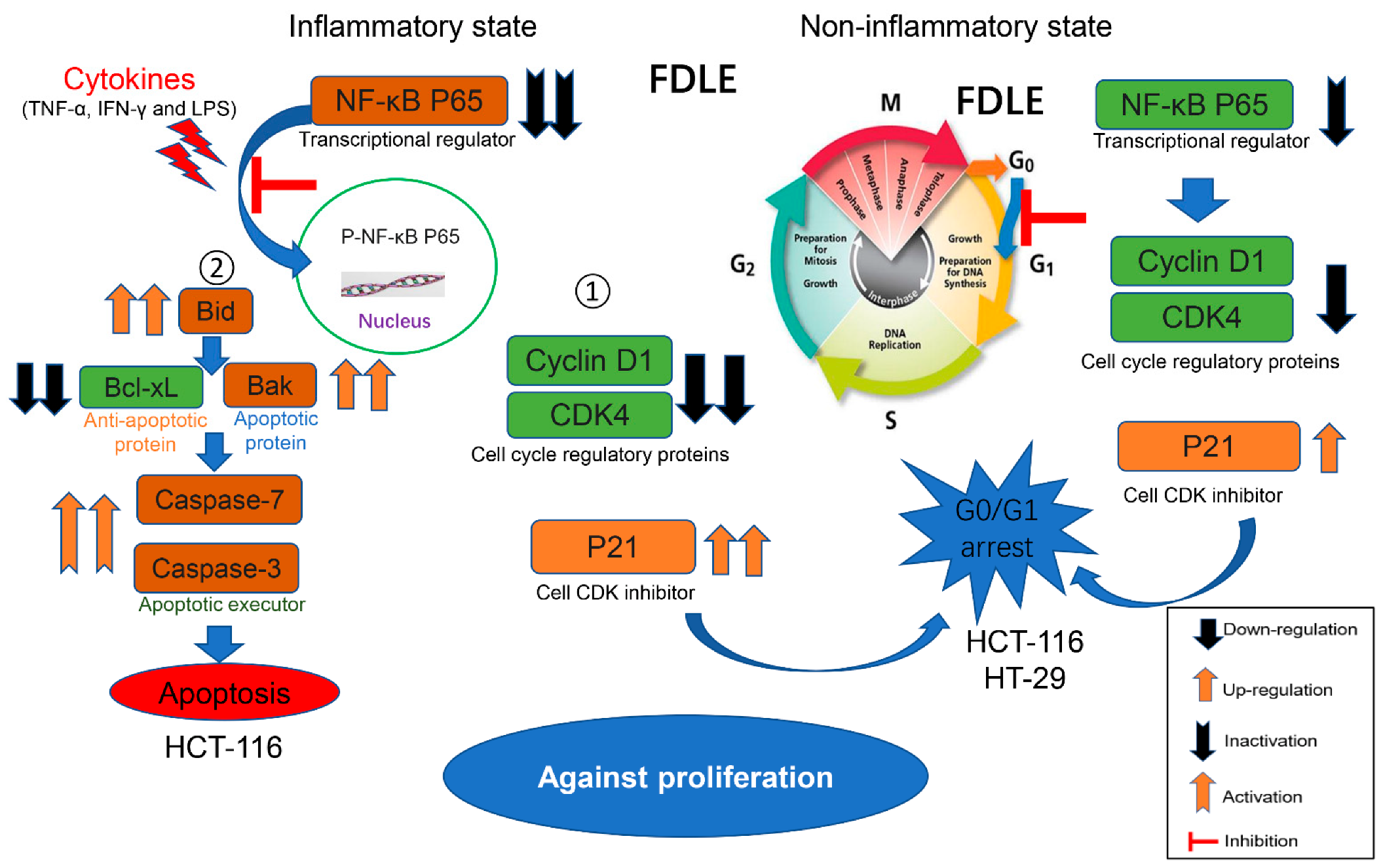 Cancers 14 02665 g008