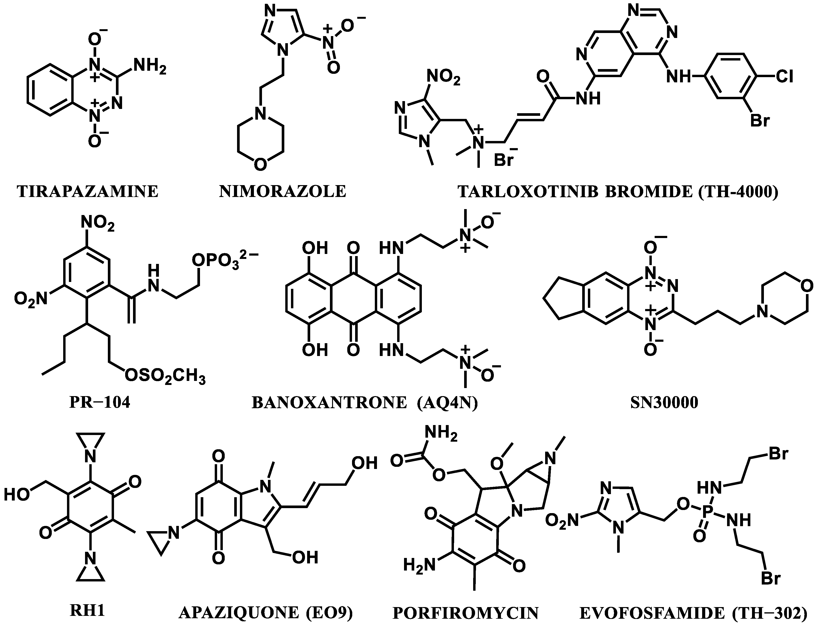 Cancers 14 02686 g002