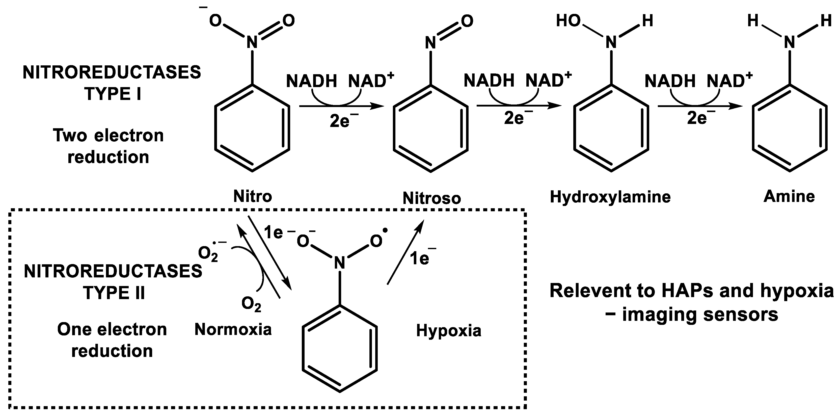 Cancers 14 02686 g003