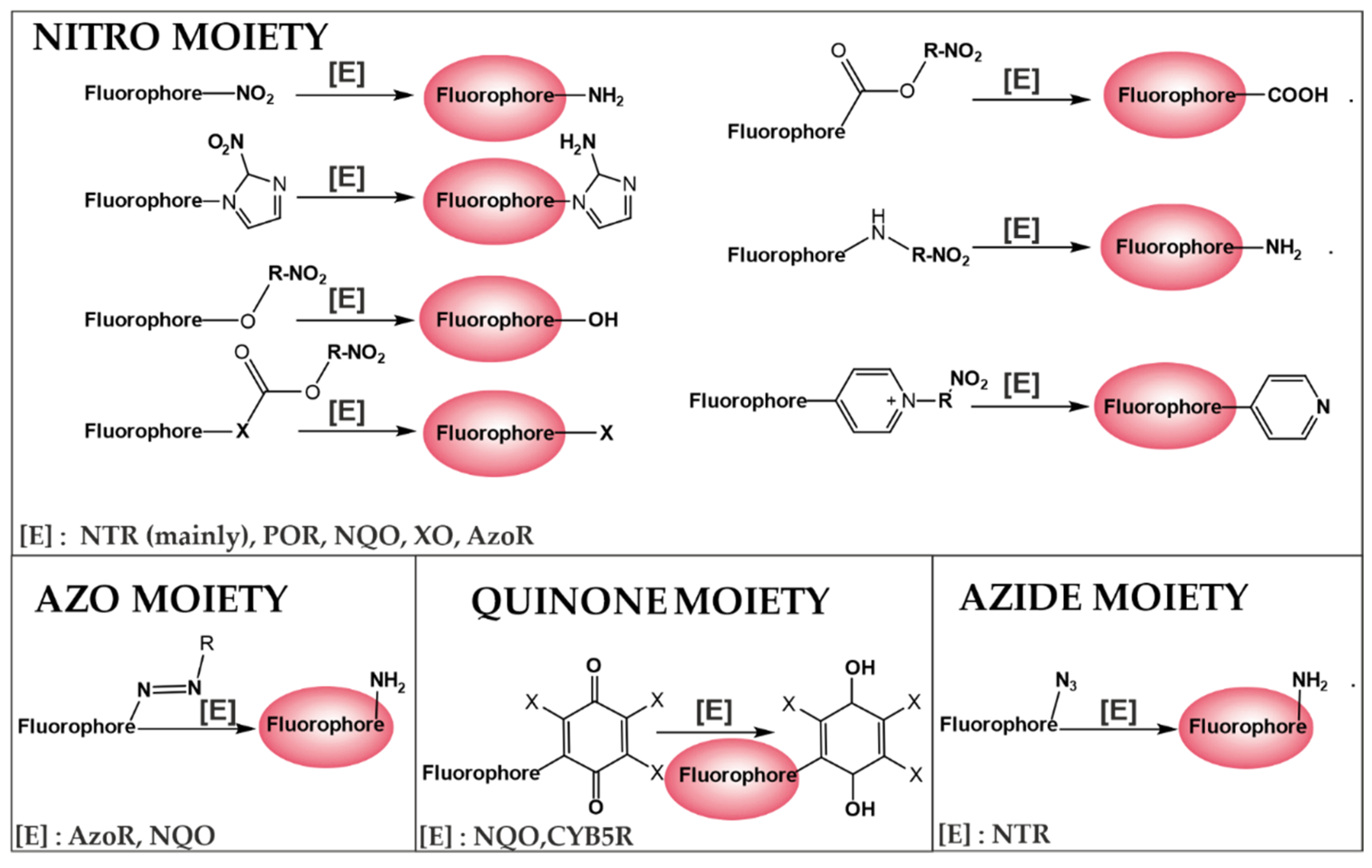 Cancers 14 02686 g004