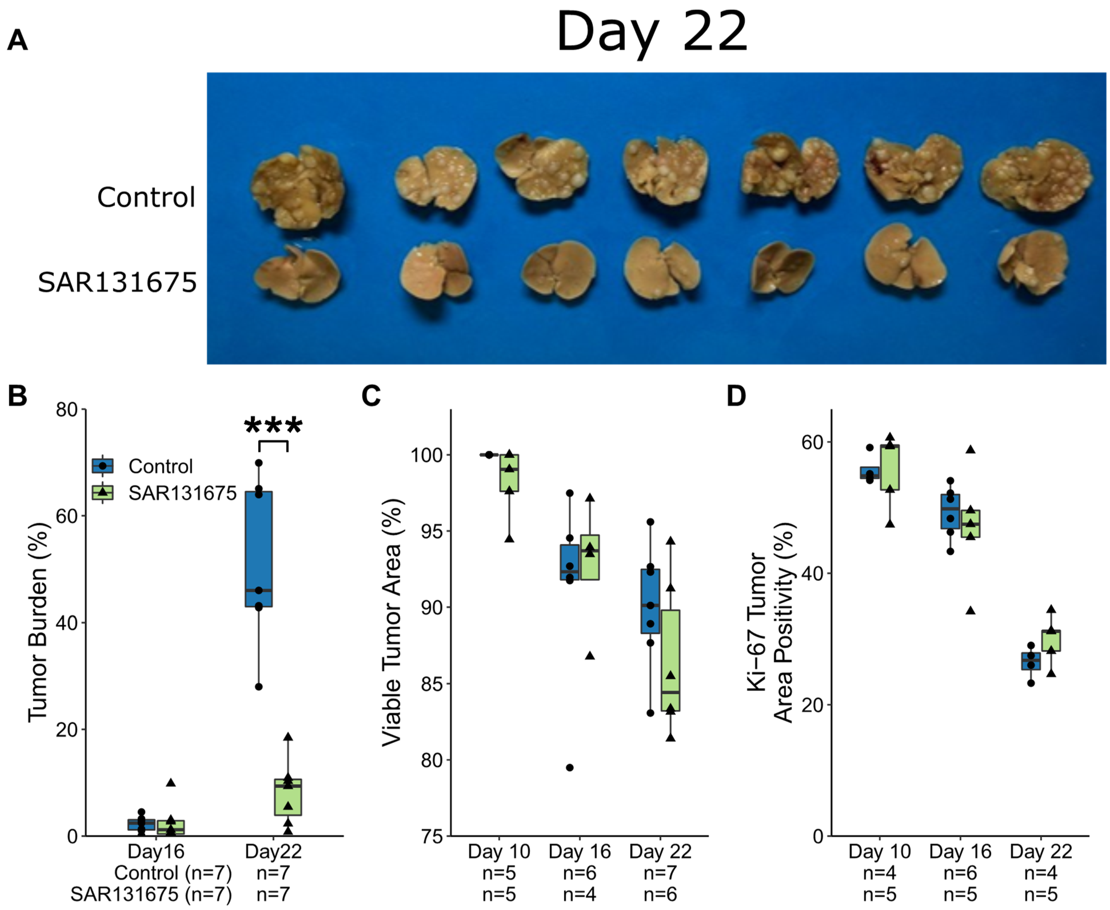 Cancers 14 02715 g001