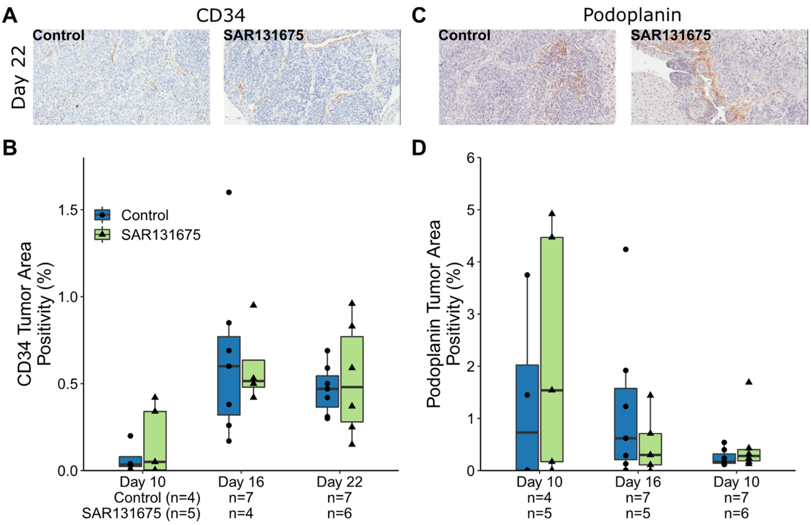 Cancers 14 02715 g002
