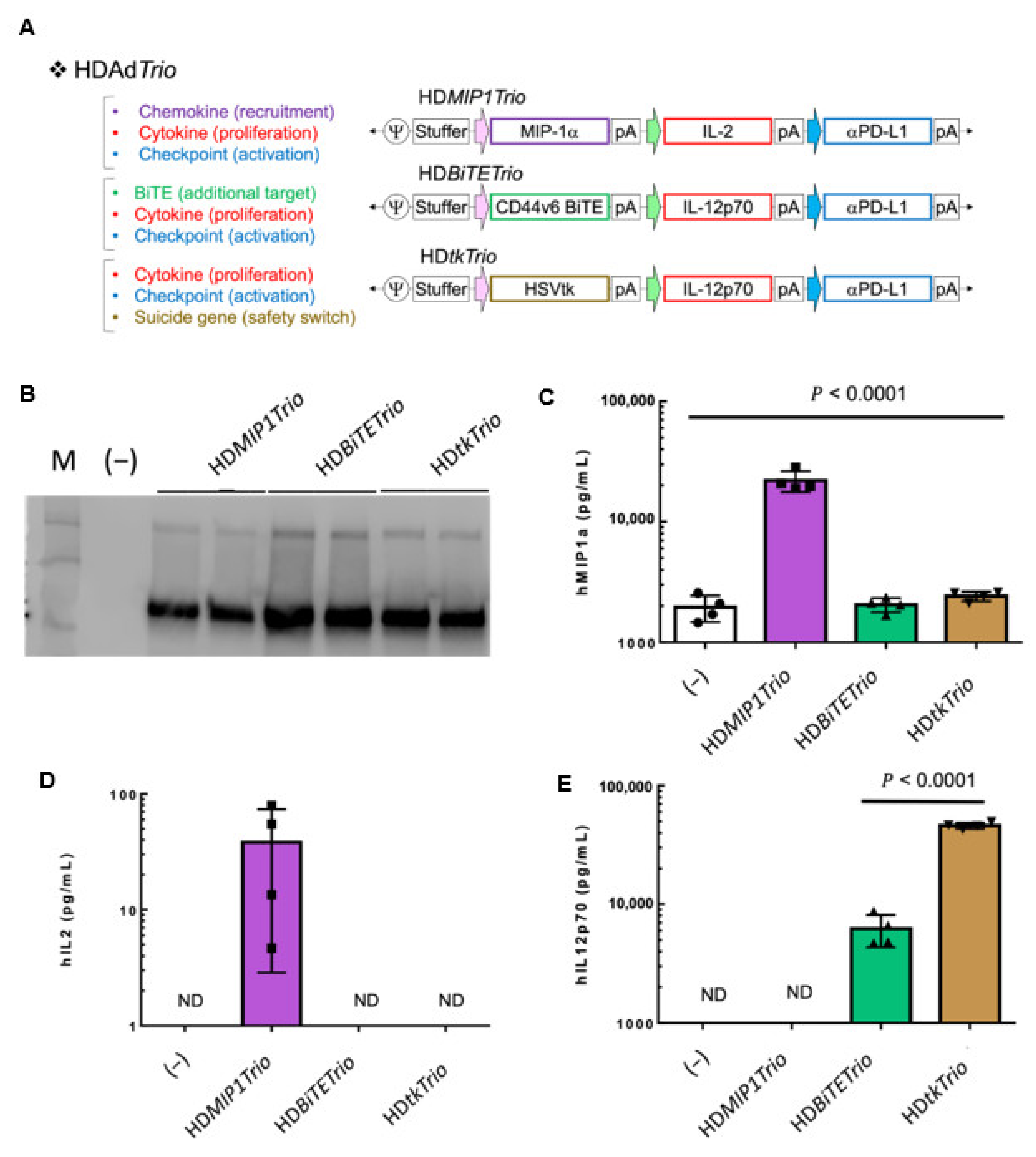Cancers 14 02769 g004