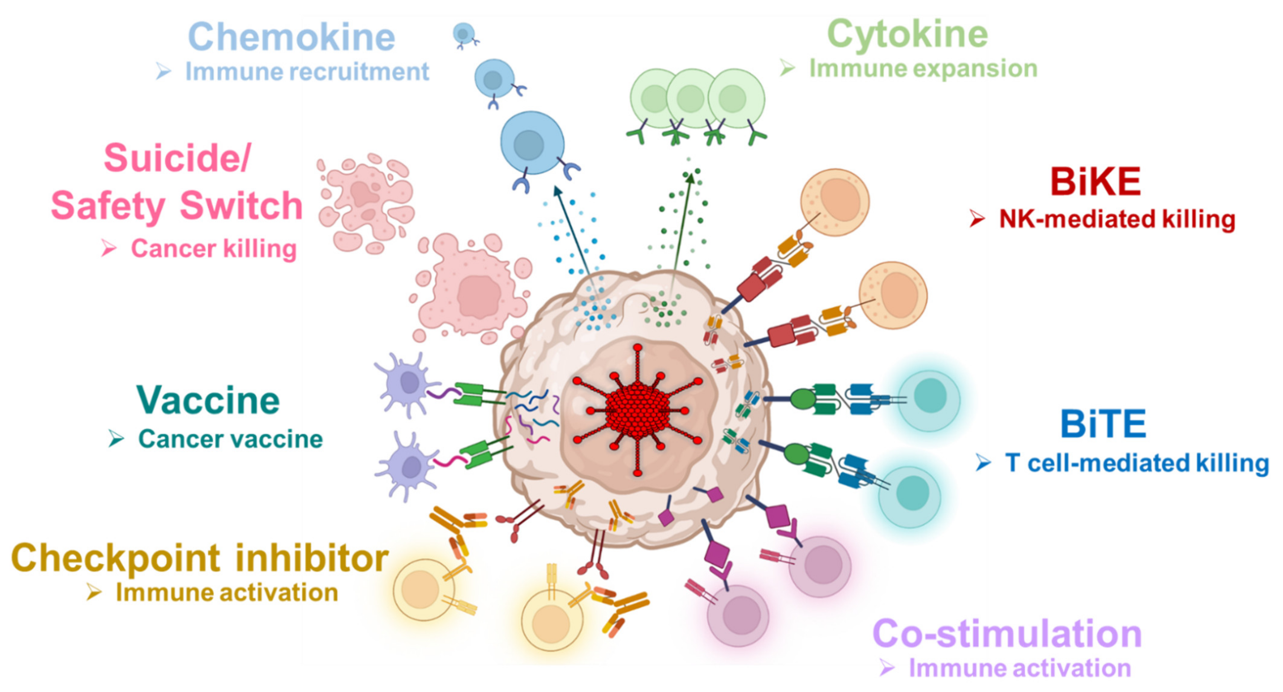 Cancers 14 02769 g006