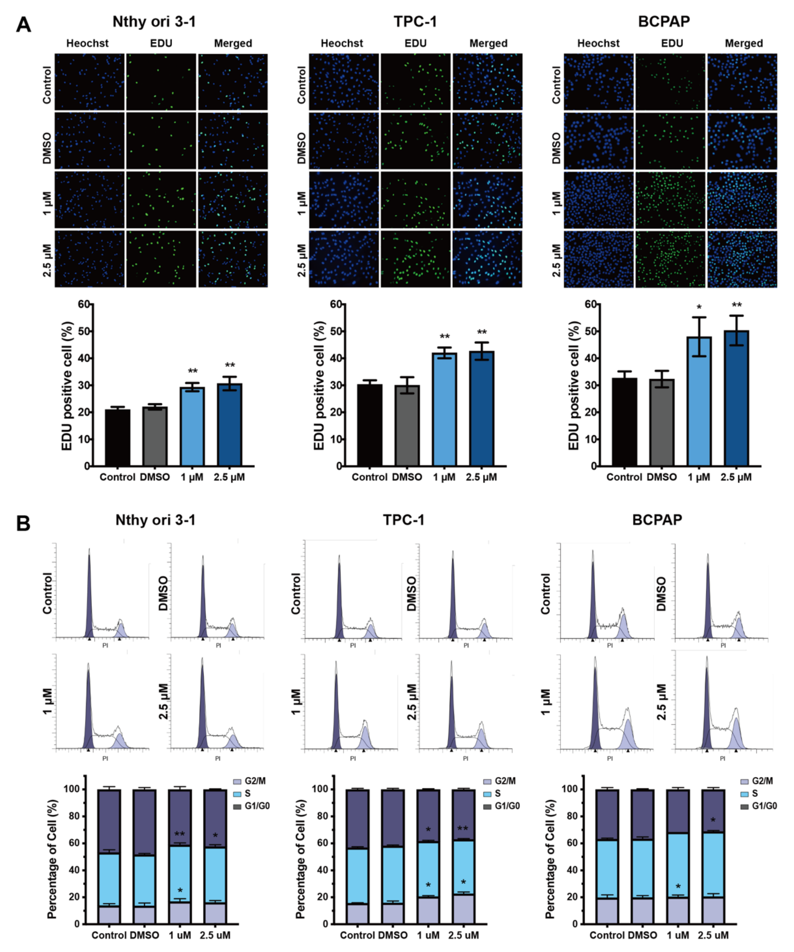 Cancers 14 02772 g002