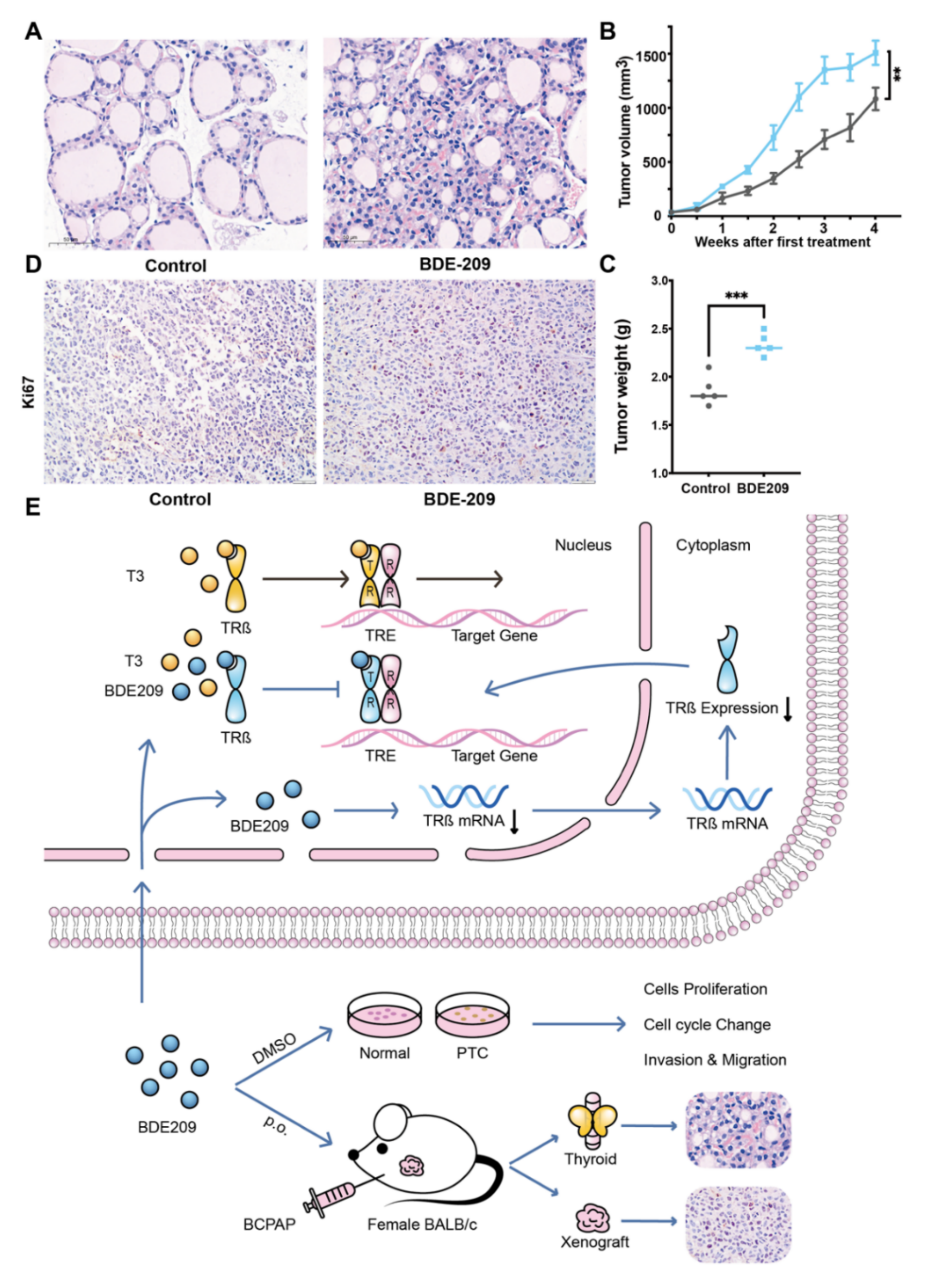 Cancers 14 02772 g006