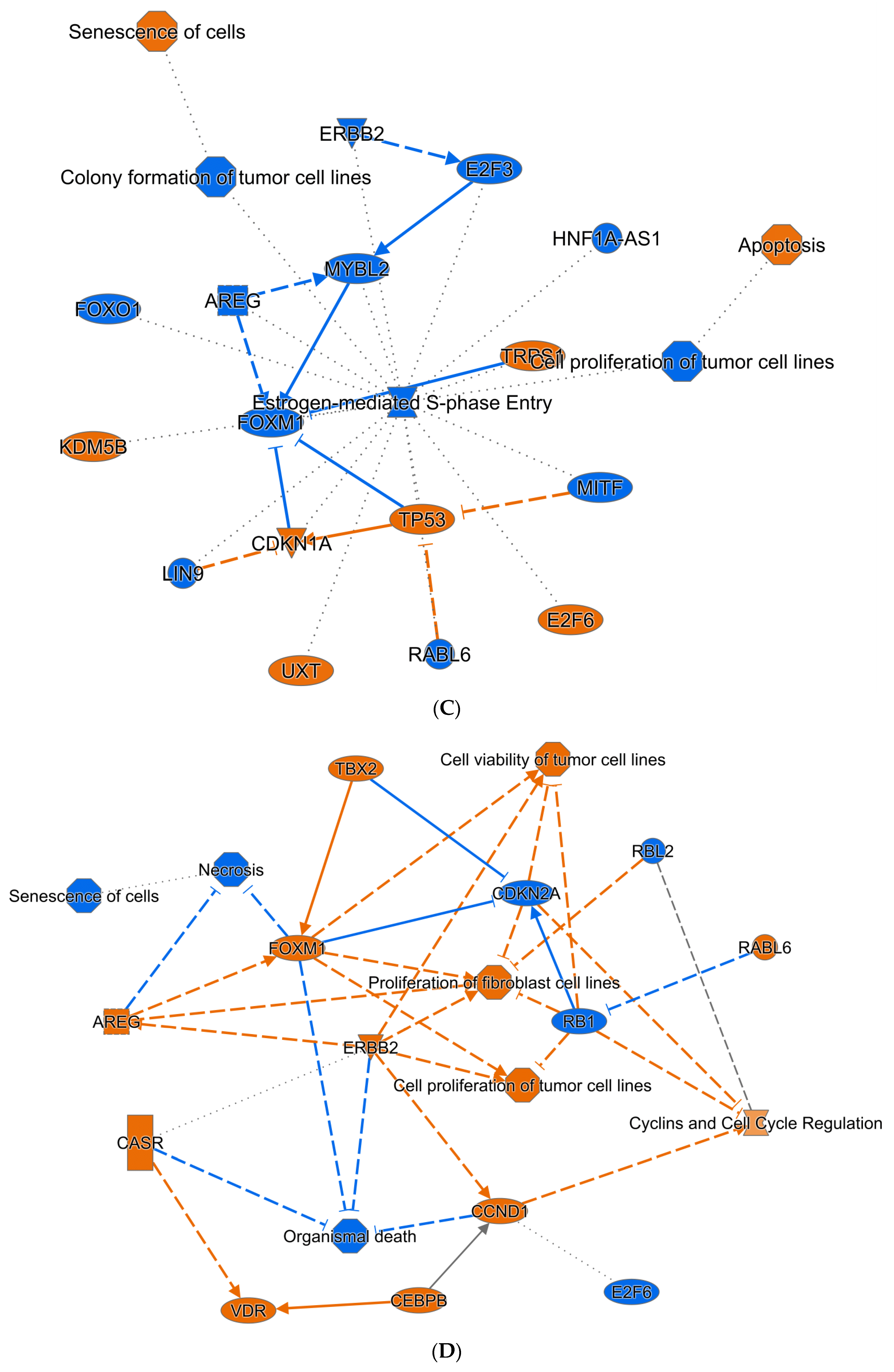 Cancers 14 02788 g004b Cancers 14 02788 g004b