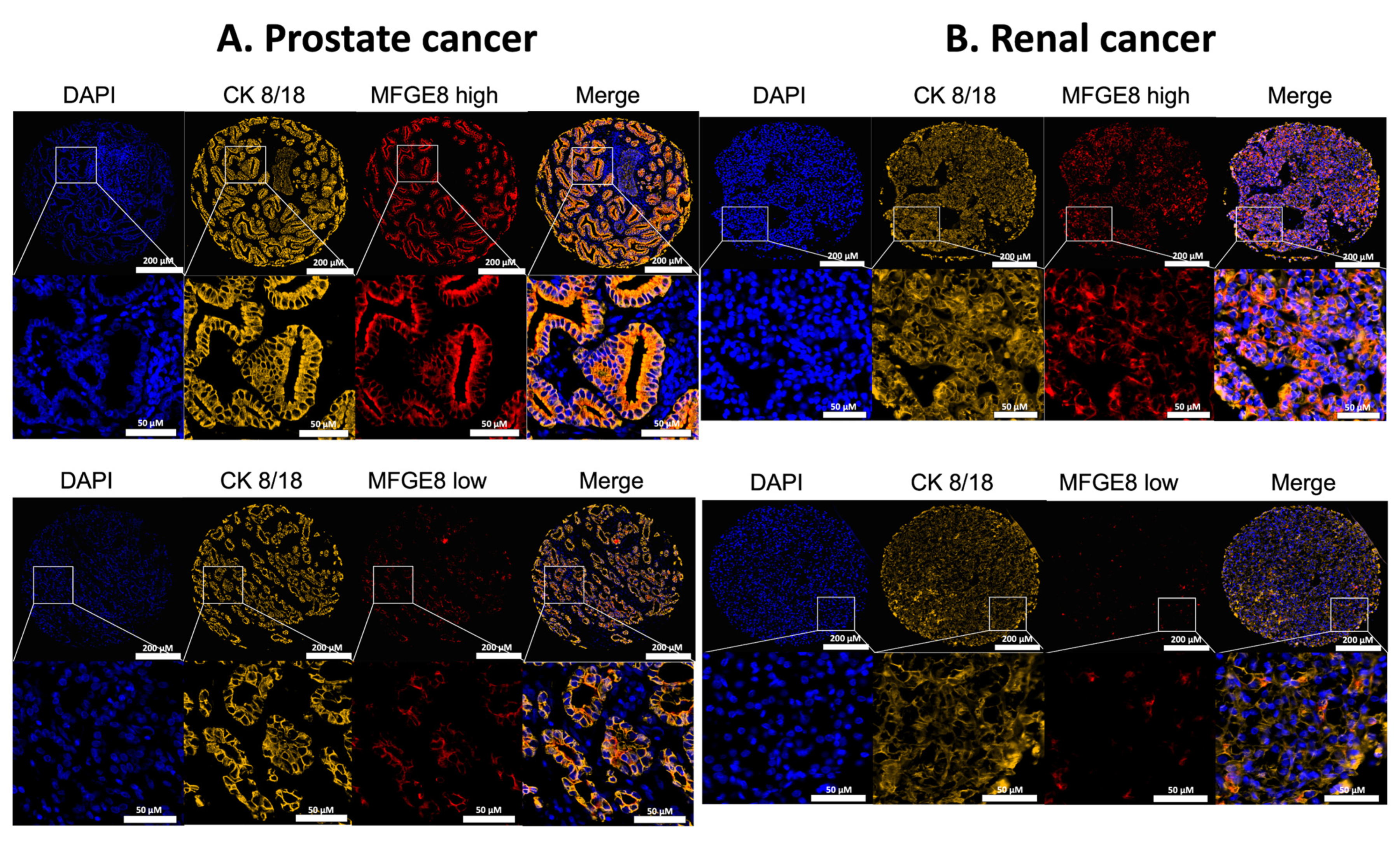 Cancers 14 02790 g001