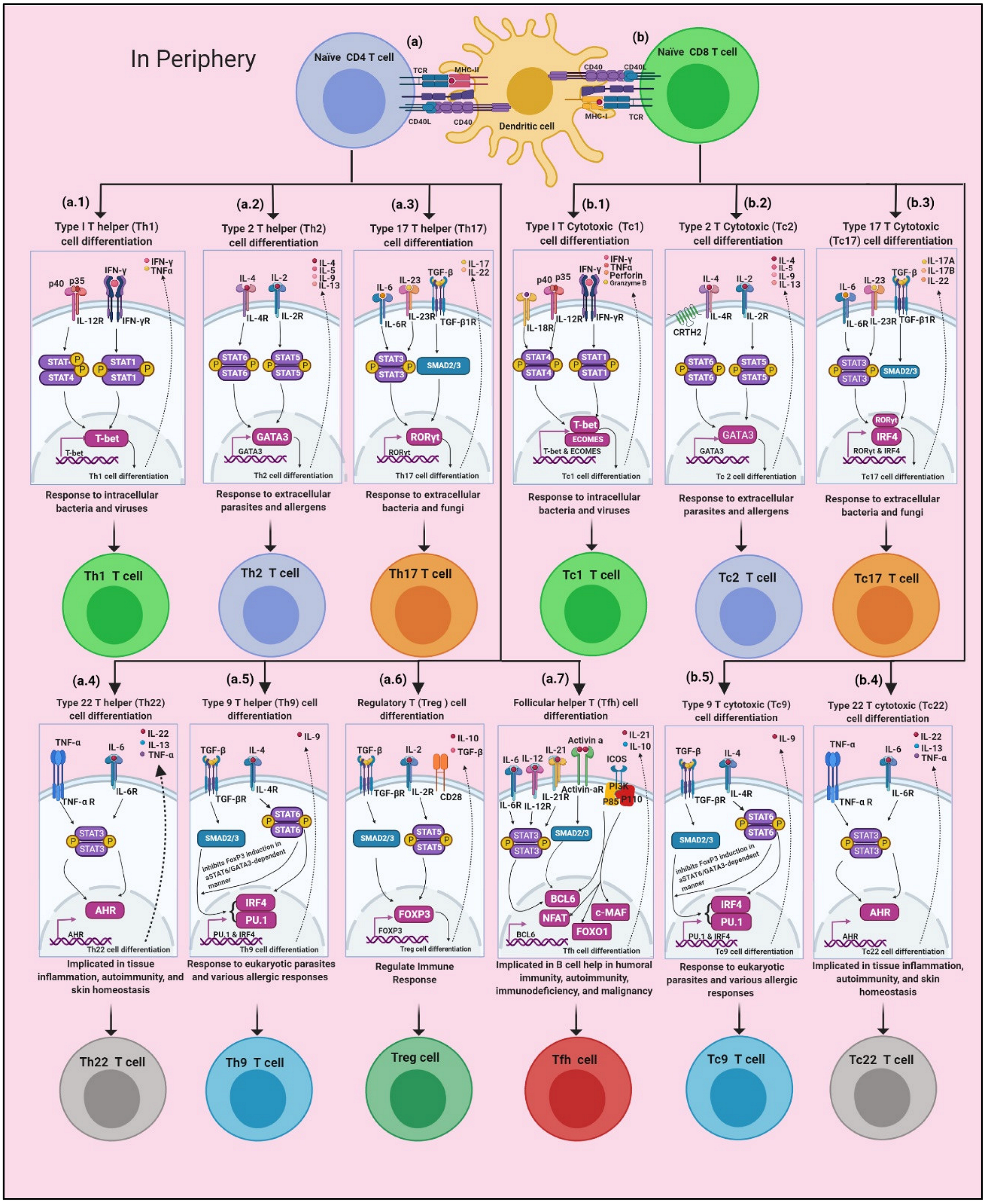 Cancers 14 02799 g001 Cancers 14 02799 g001