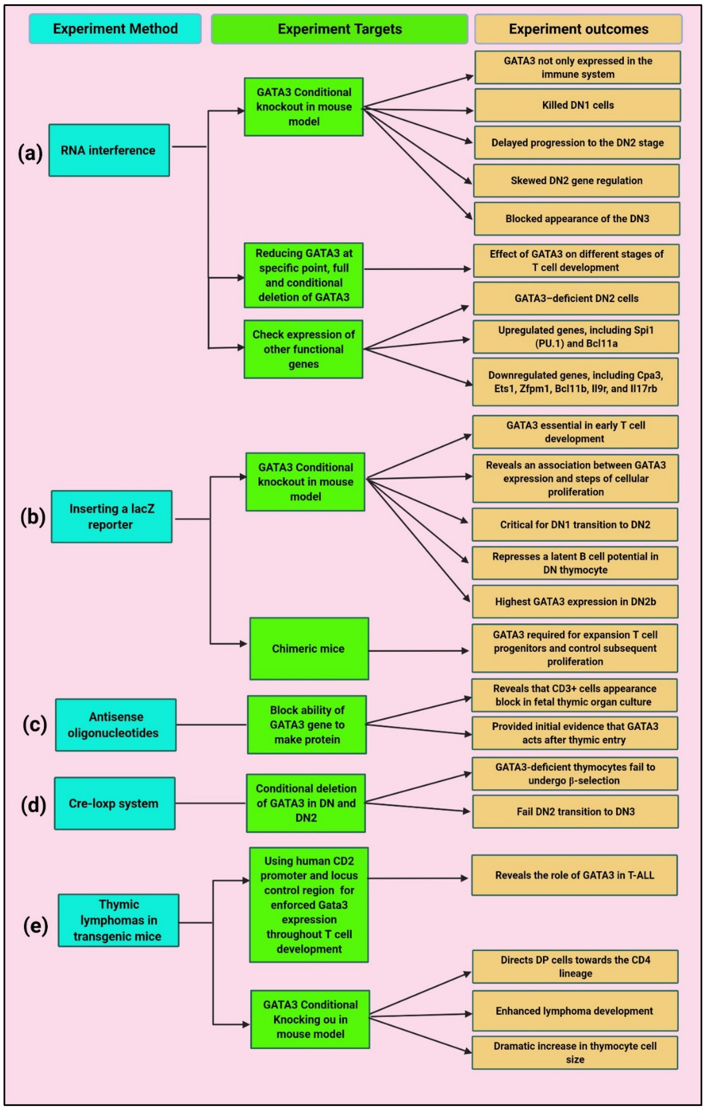 Cancers 14 02799 g003 Cancers 14 02799 g003