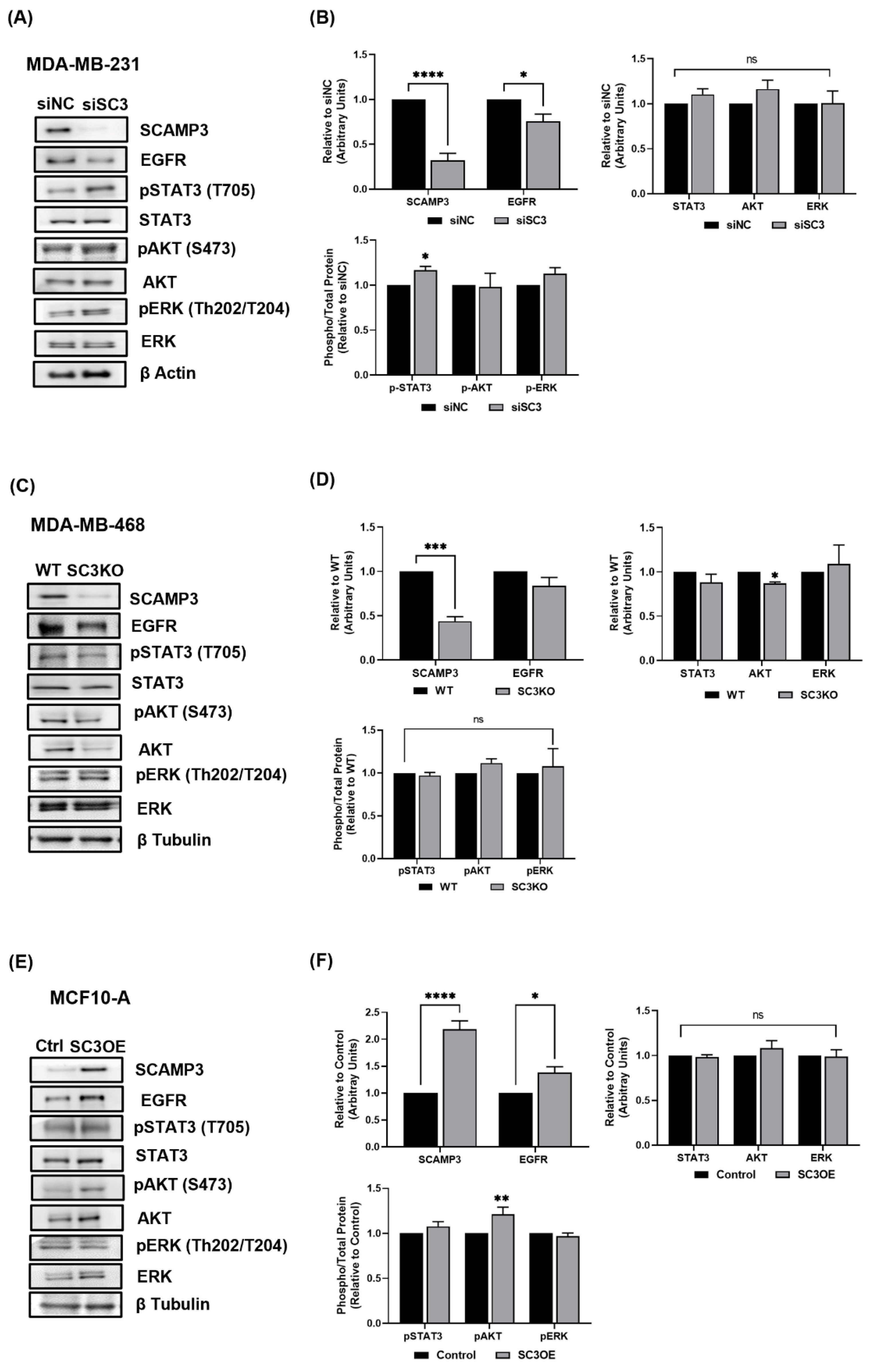 Cancers 14 02807 g002 Cancers 14 02807 g002