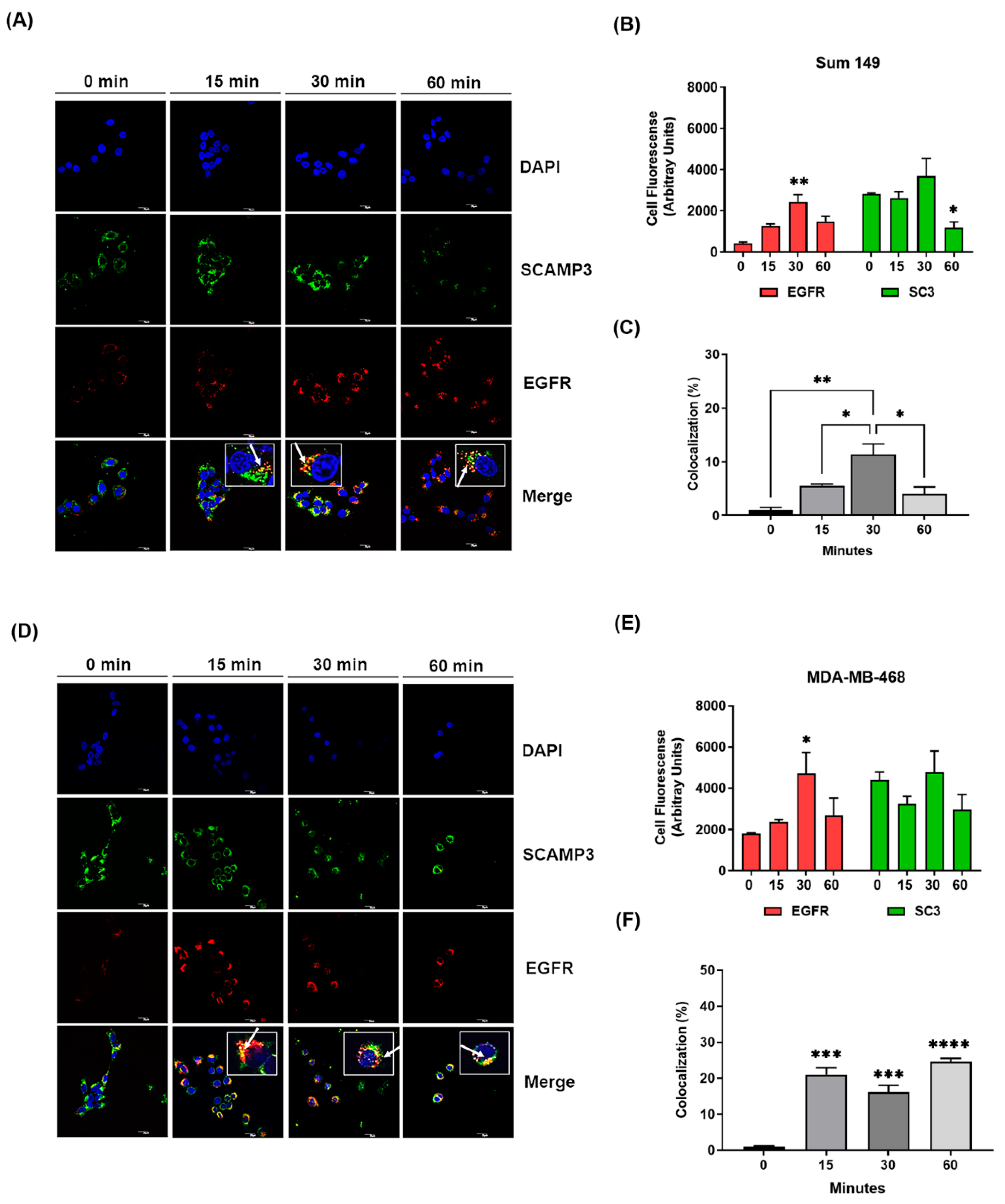Cancers 14 02807 g004 Cancers 14 02807 g004