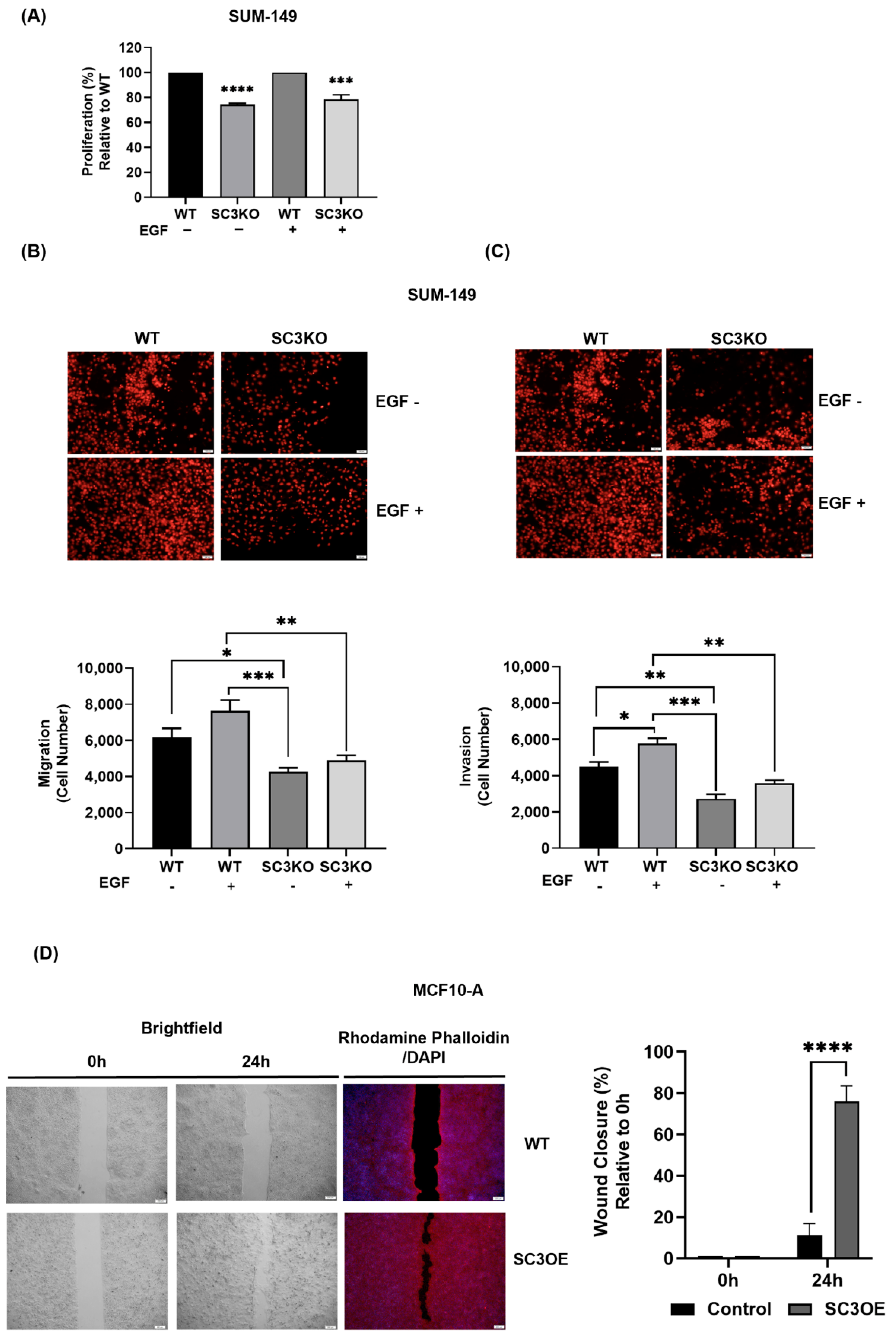 Cancers 14 02807 g005 Cancers 14 02807 g005