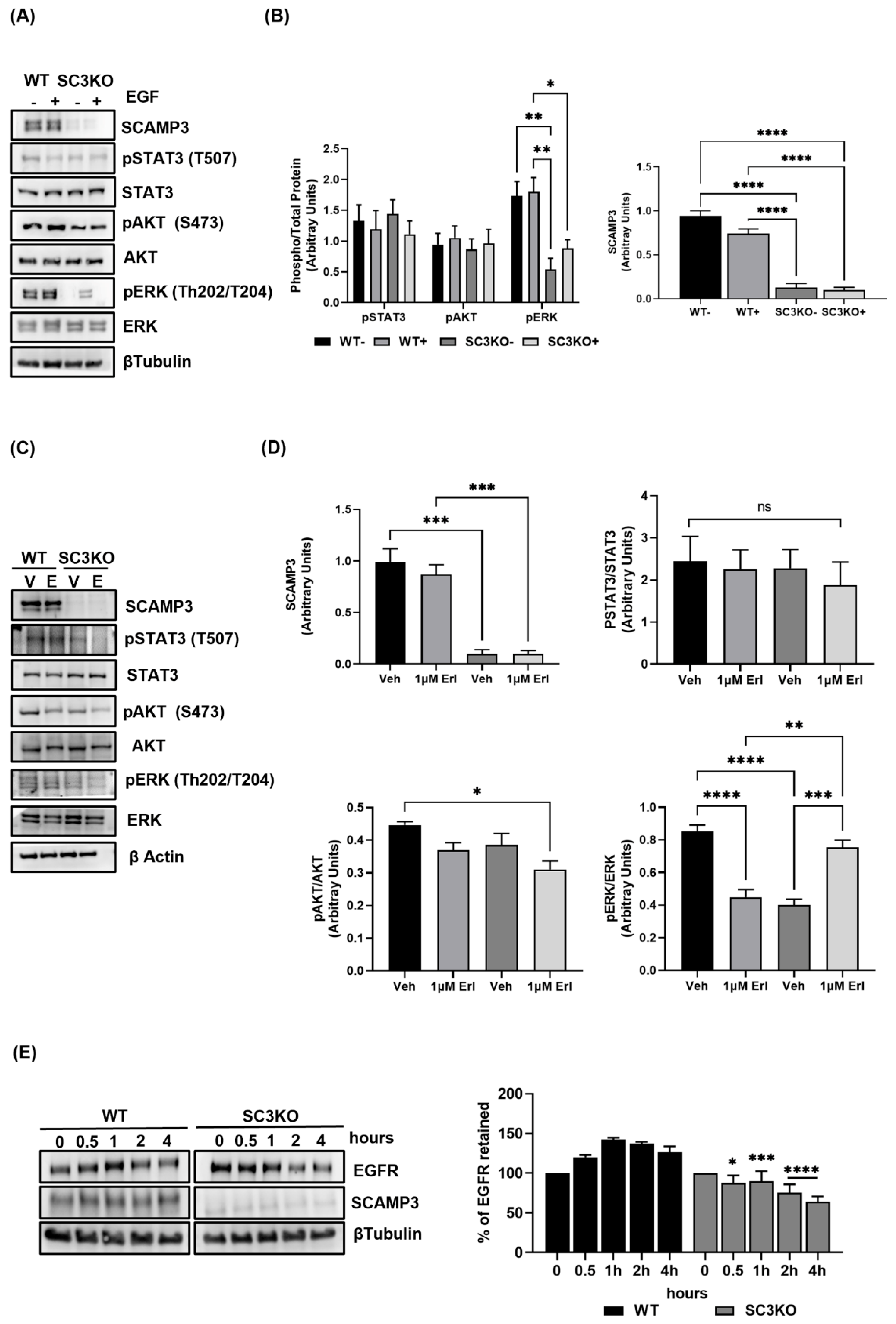 Cancers 14 02807 g006 Cancers 14 02807 g006