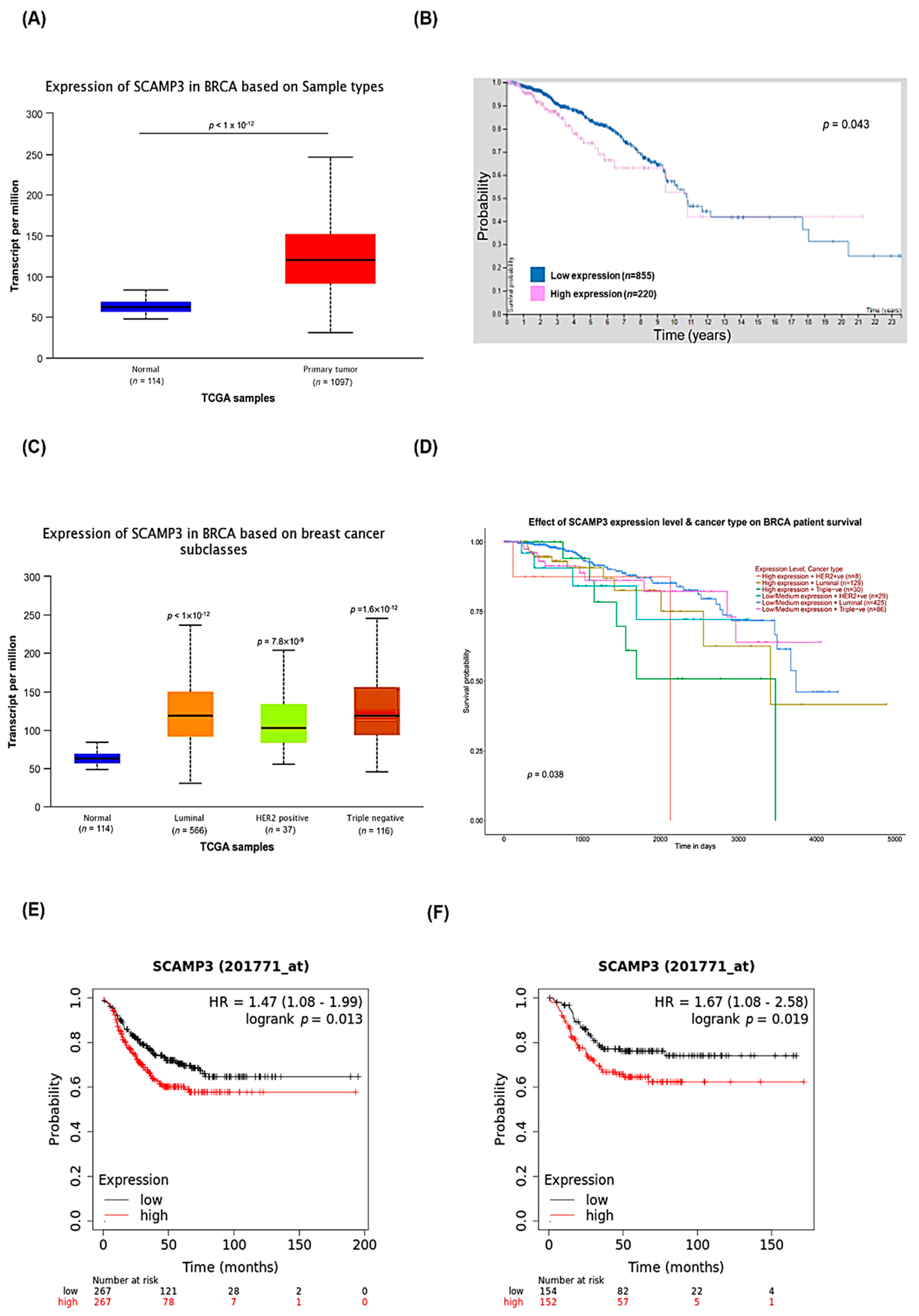 Cancers 14 02807 g007 Cancers 14 02807 g007