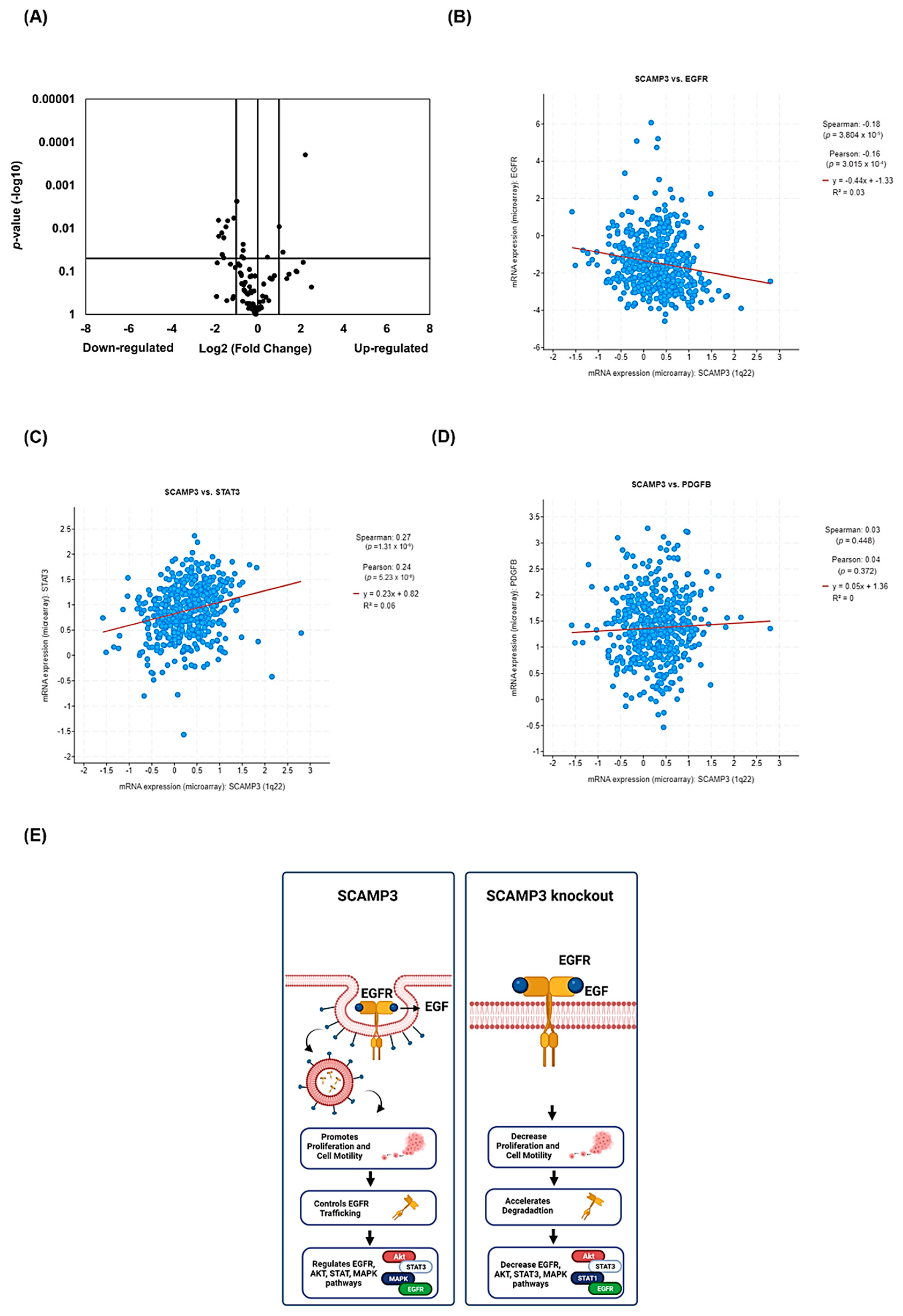 Cancers 14 02807 g008 Cancers 14 02807 g008
