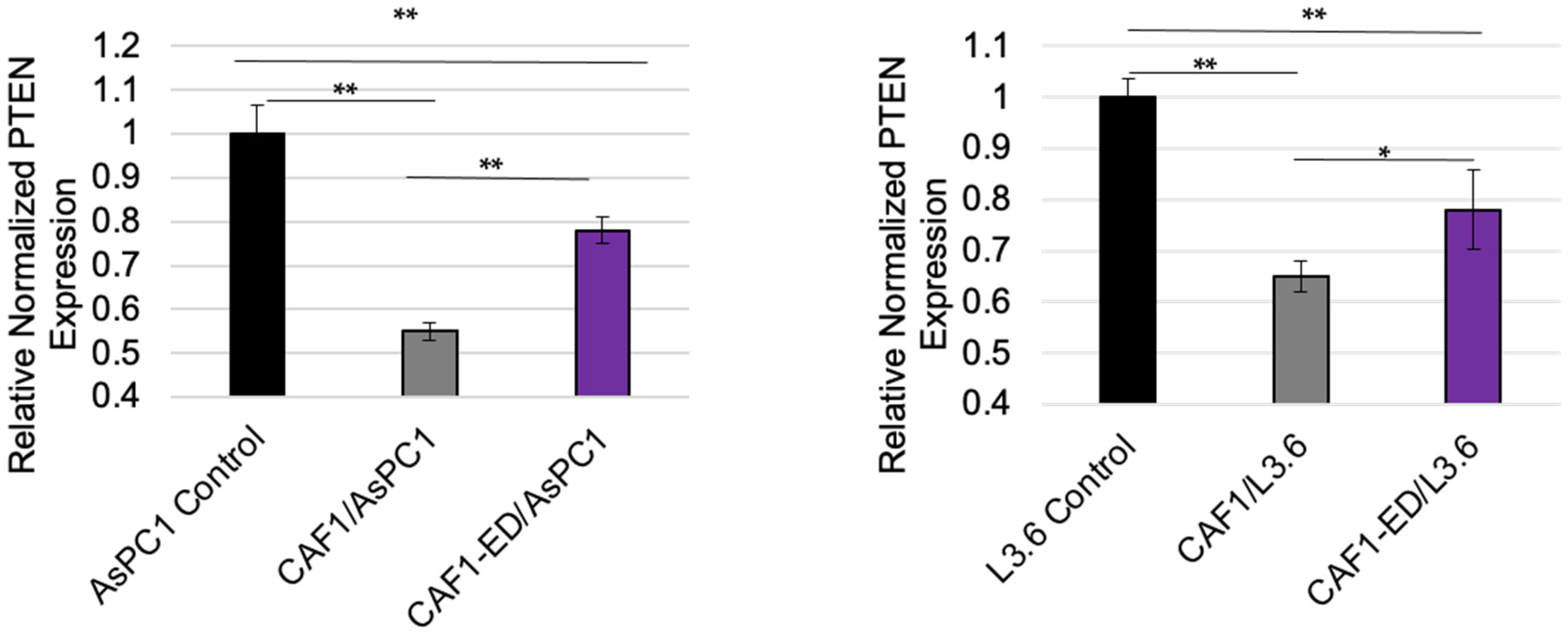 Cancers 14 02812 g002