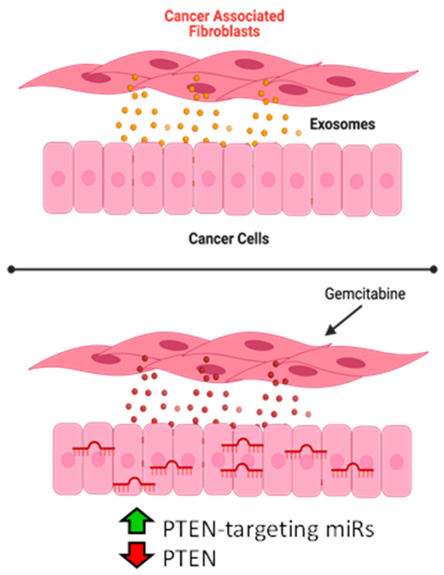 Cancers 14 02812 g006
