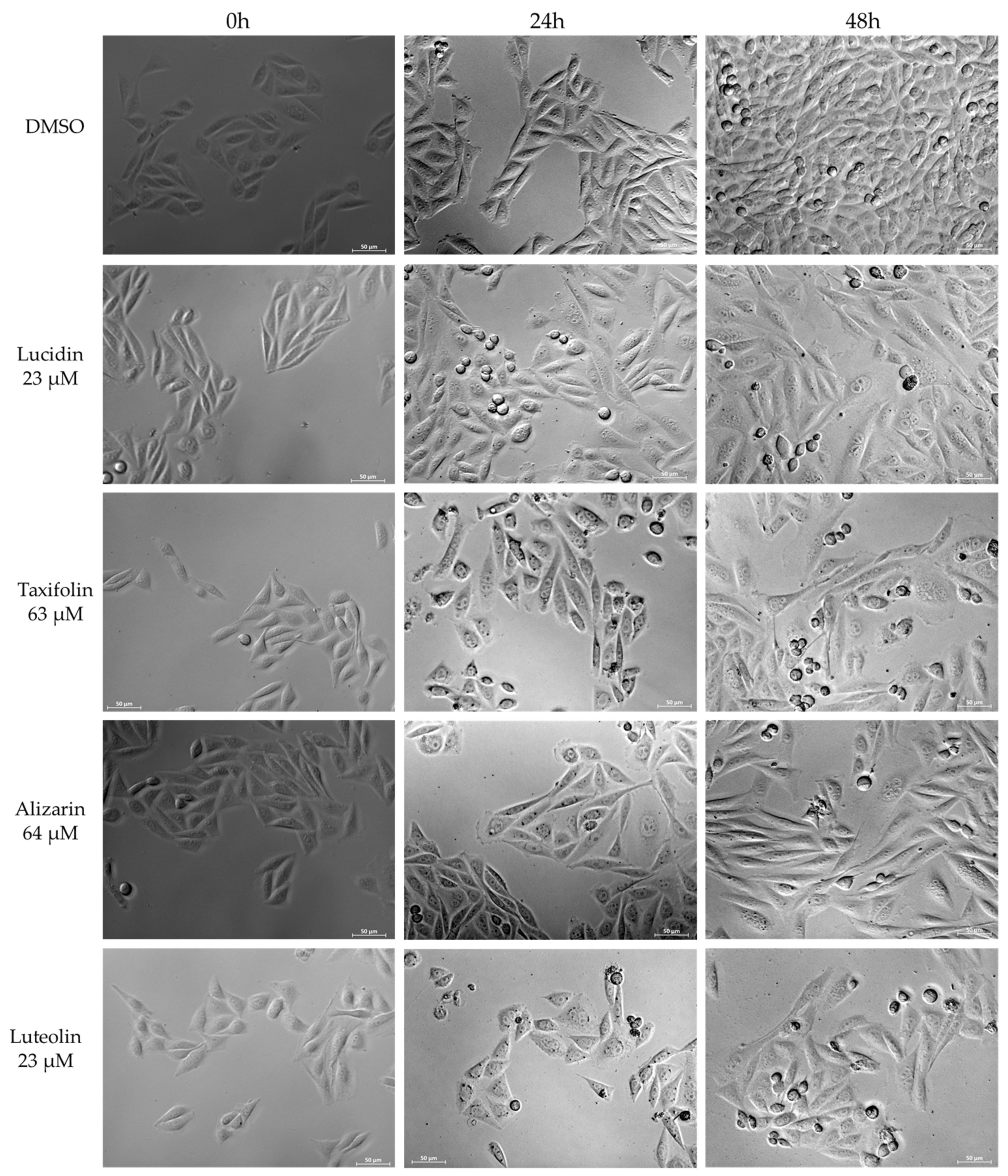 Cancers 14 02834 g005