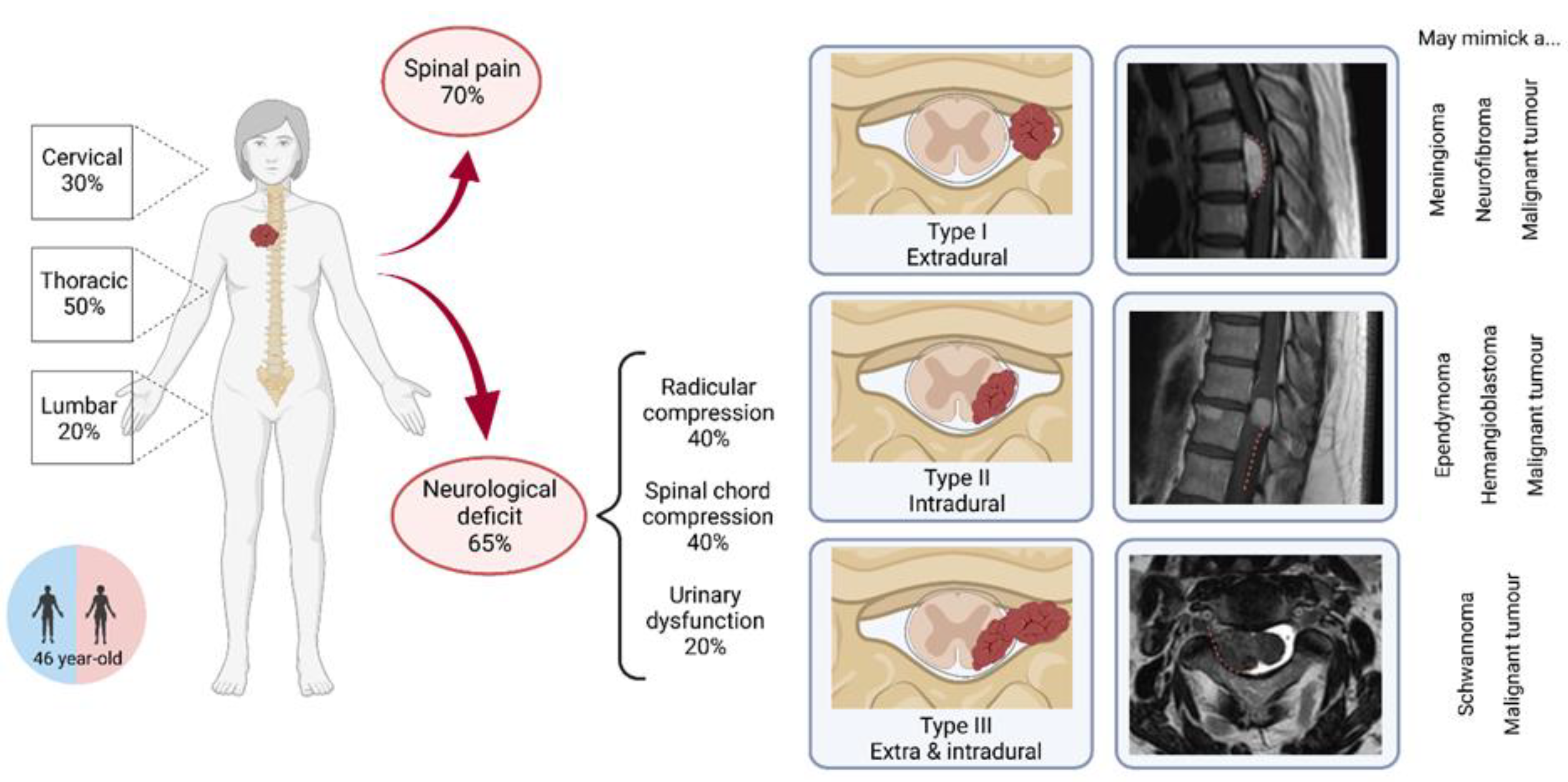Cancers 14 02839 g002