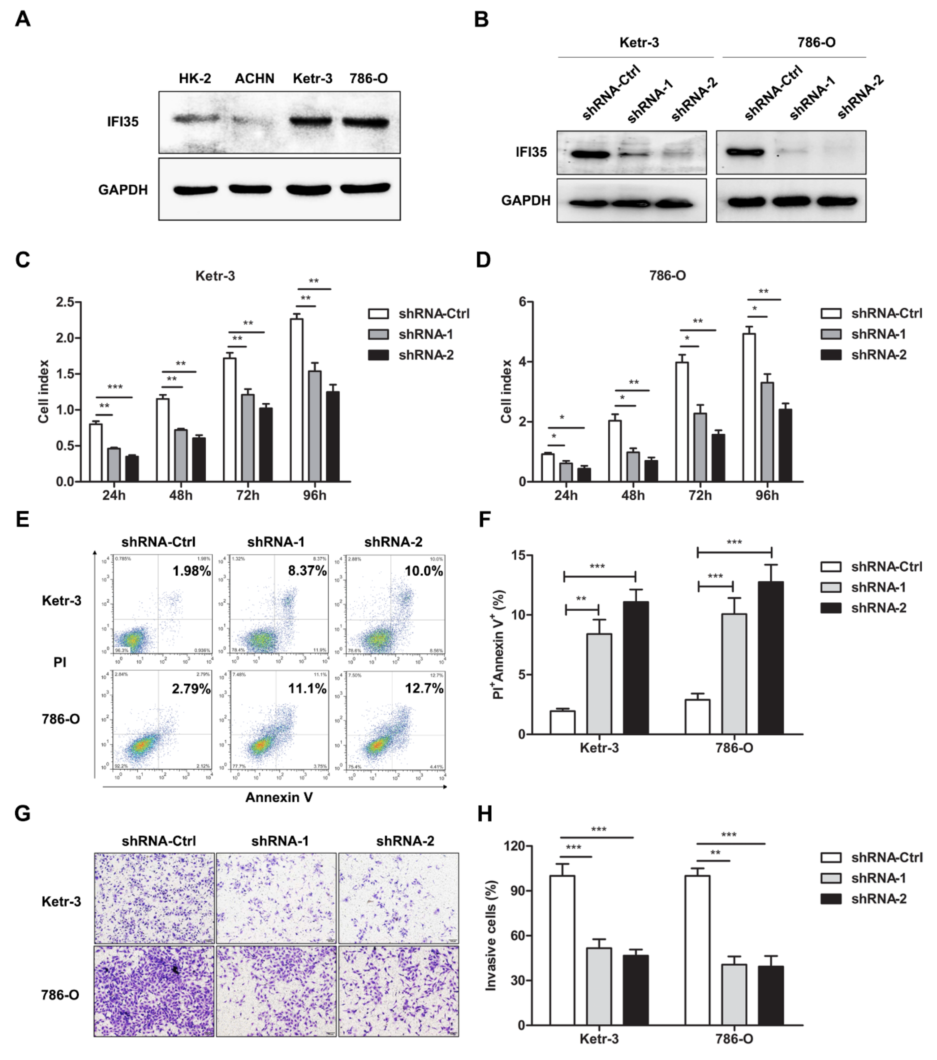 Cancers 14 02861 g002