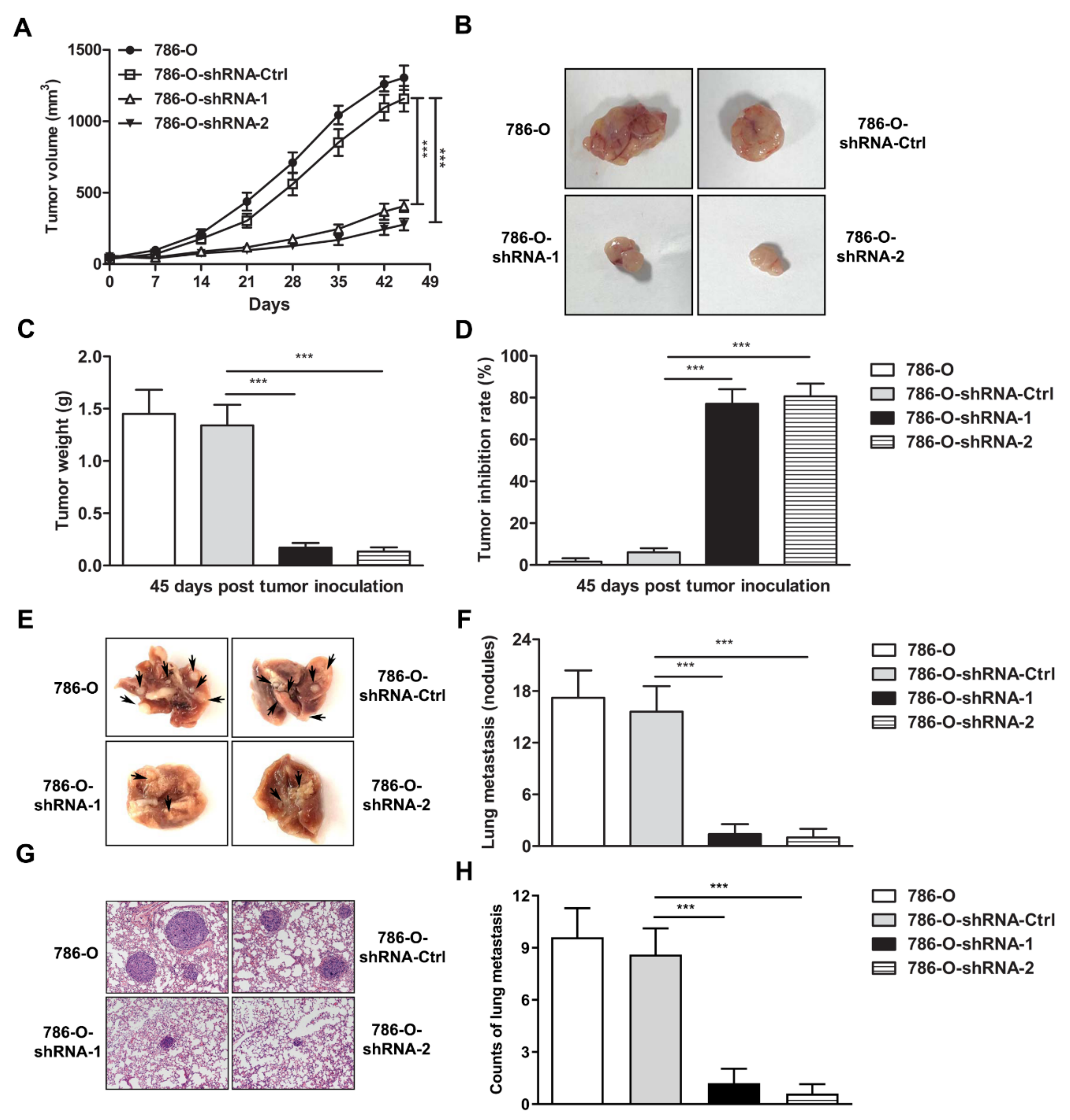 Cancers 14 02861 g003
