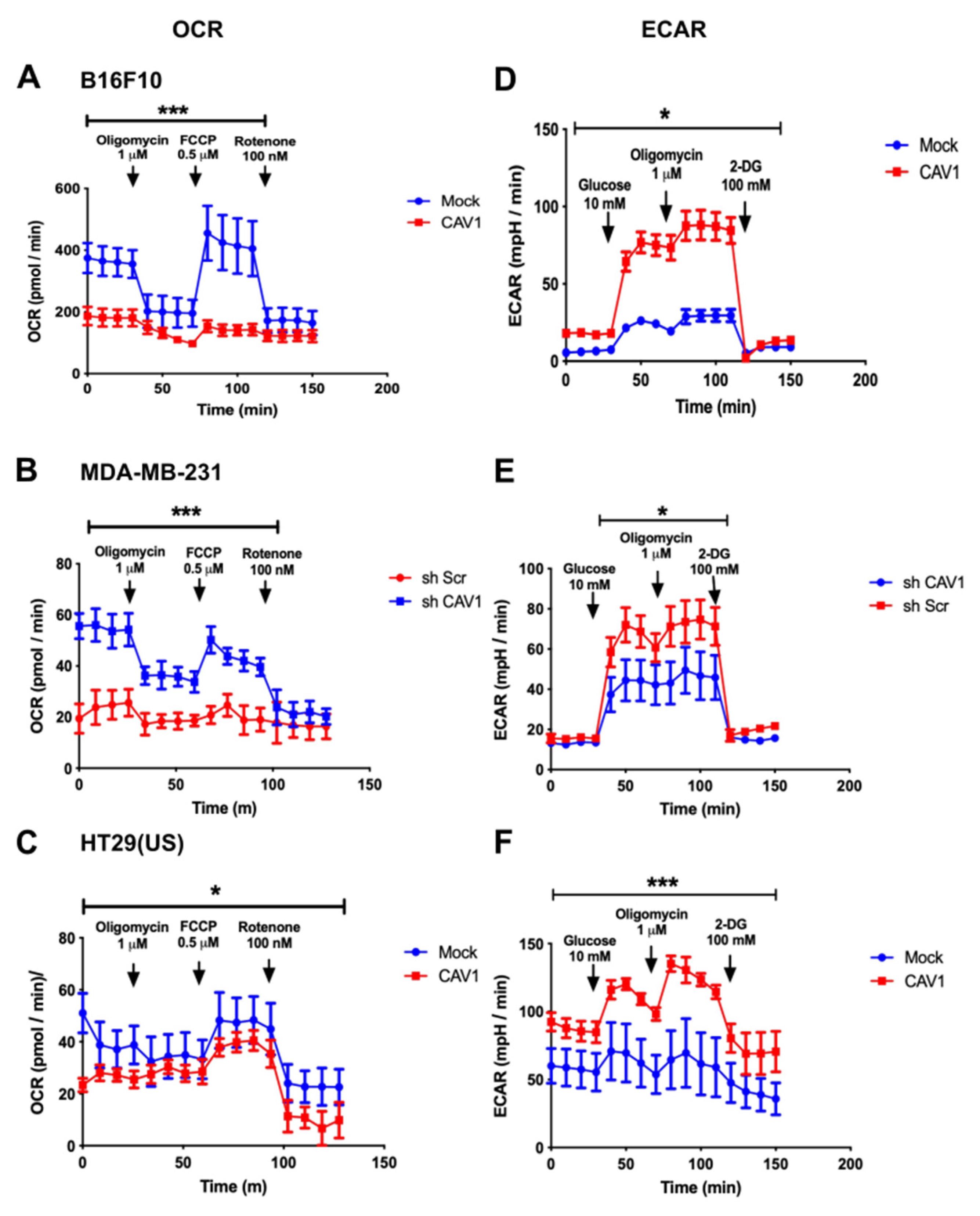 Cancers 14 02862 g001 Cancers 14 02862 g001