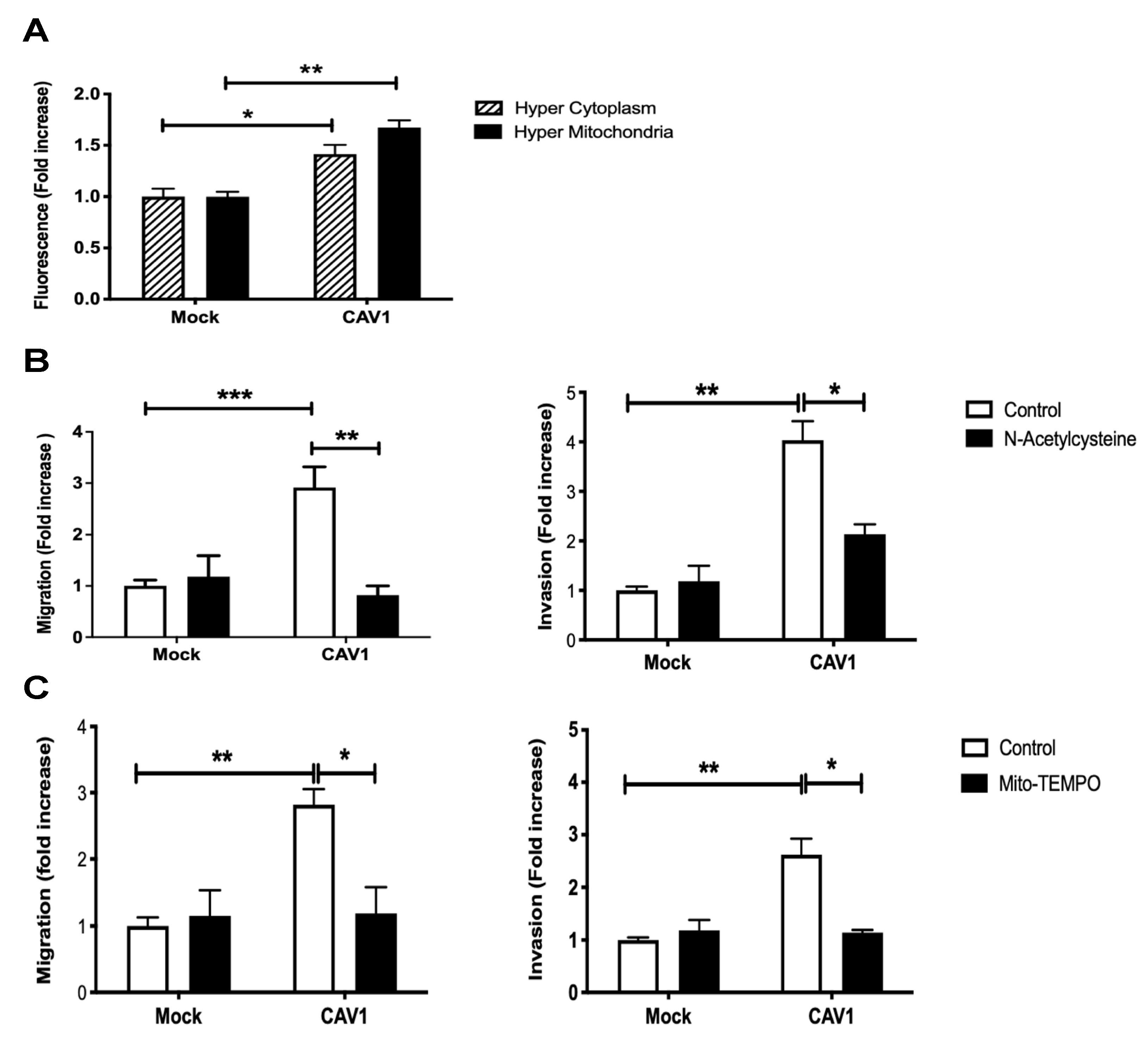 Cancers 14 02862 g003 Cancers 14 02862 g003