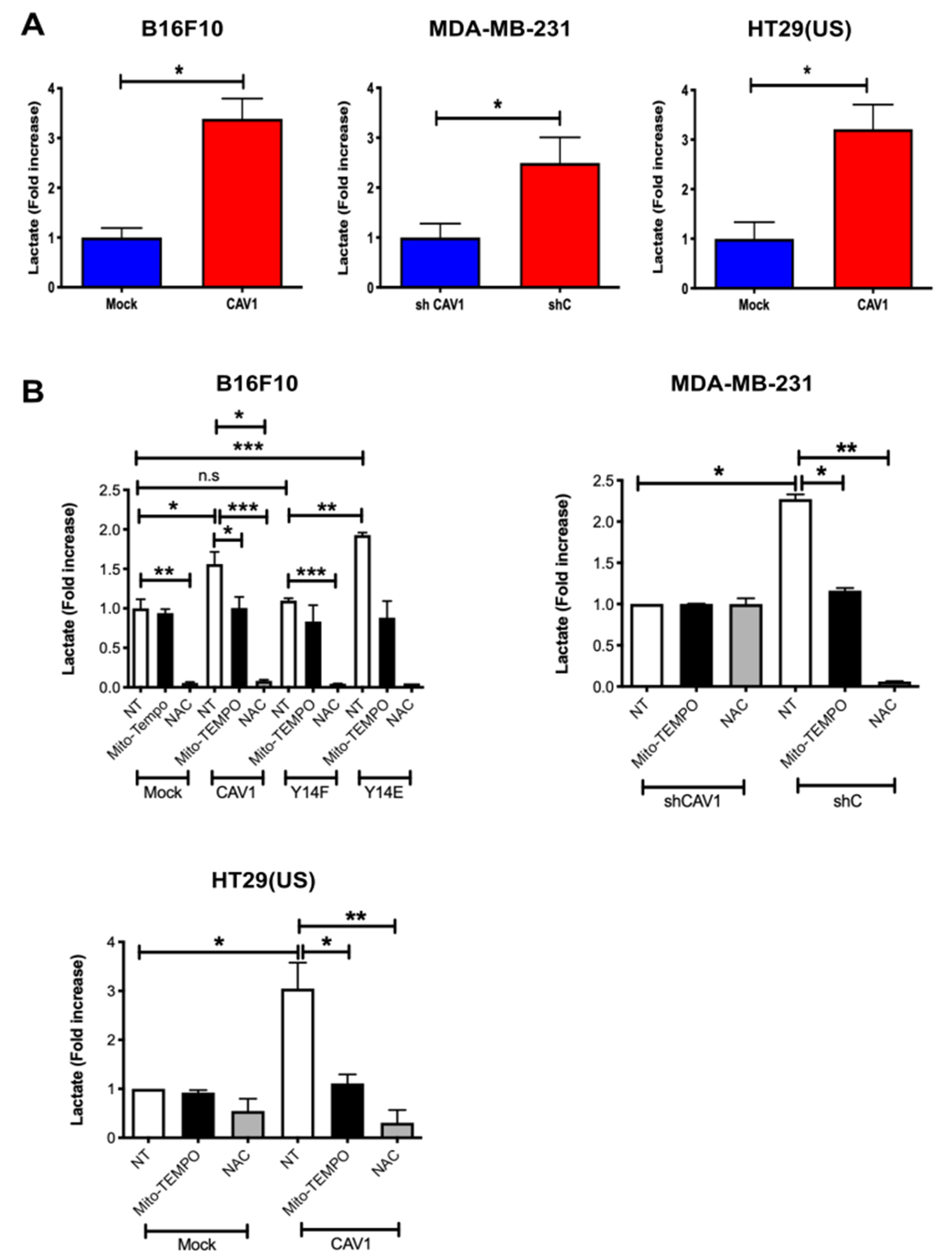 Cancers 14 02862 g005 Cancers 14 02862 g005