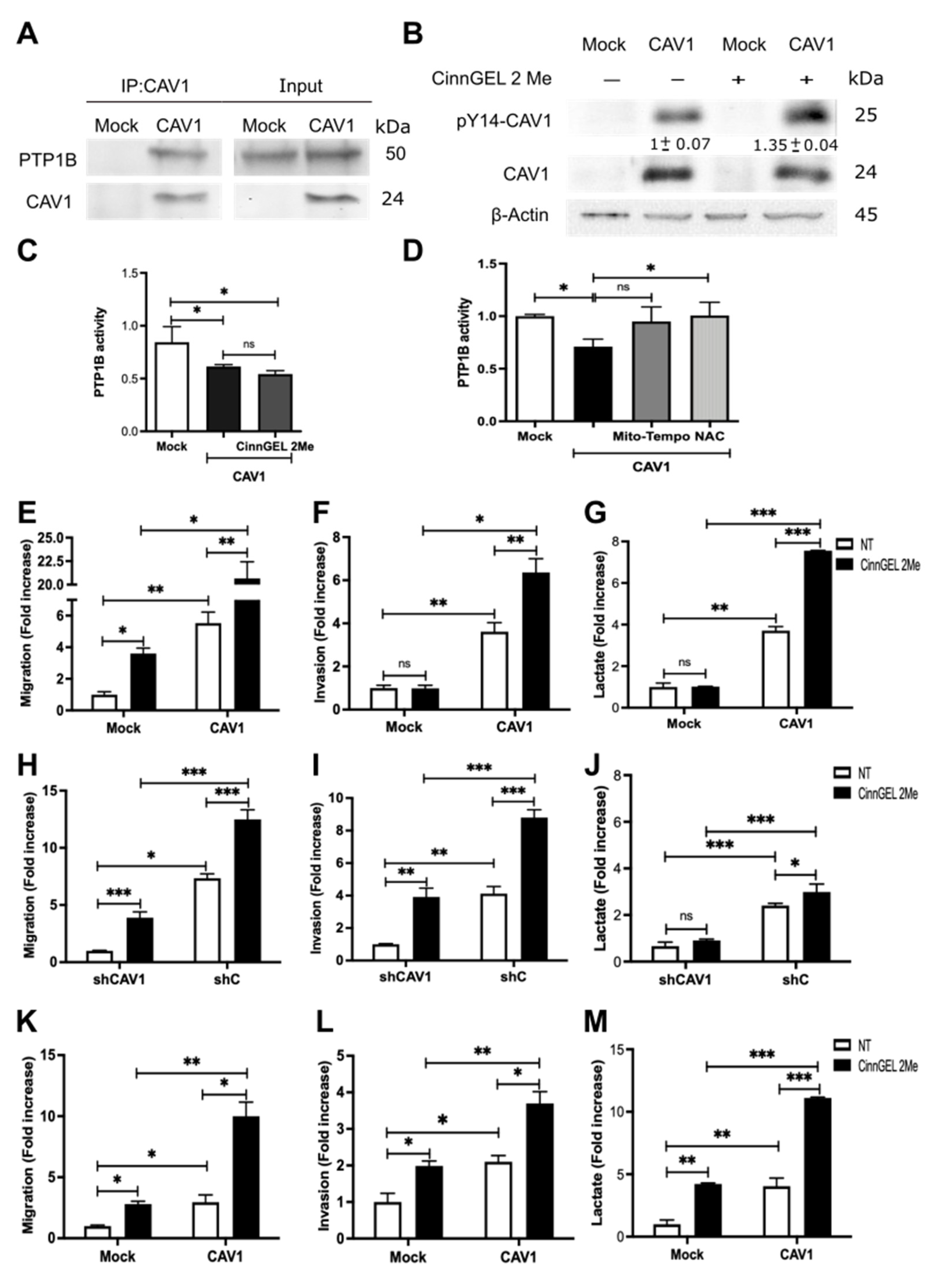 Cancers 14 02862 g006 Cancers 14 02862 g006