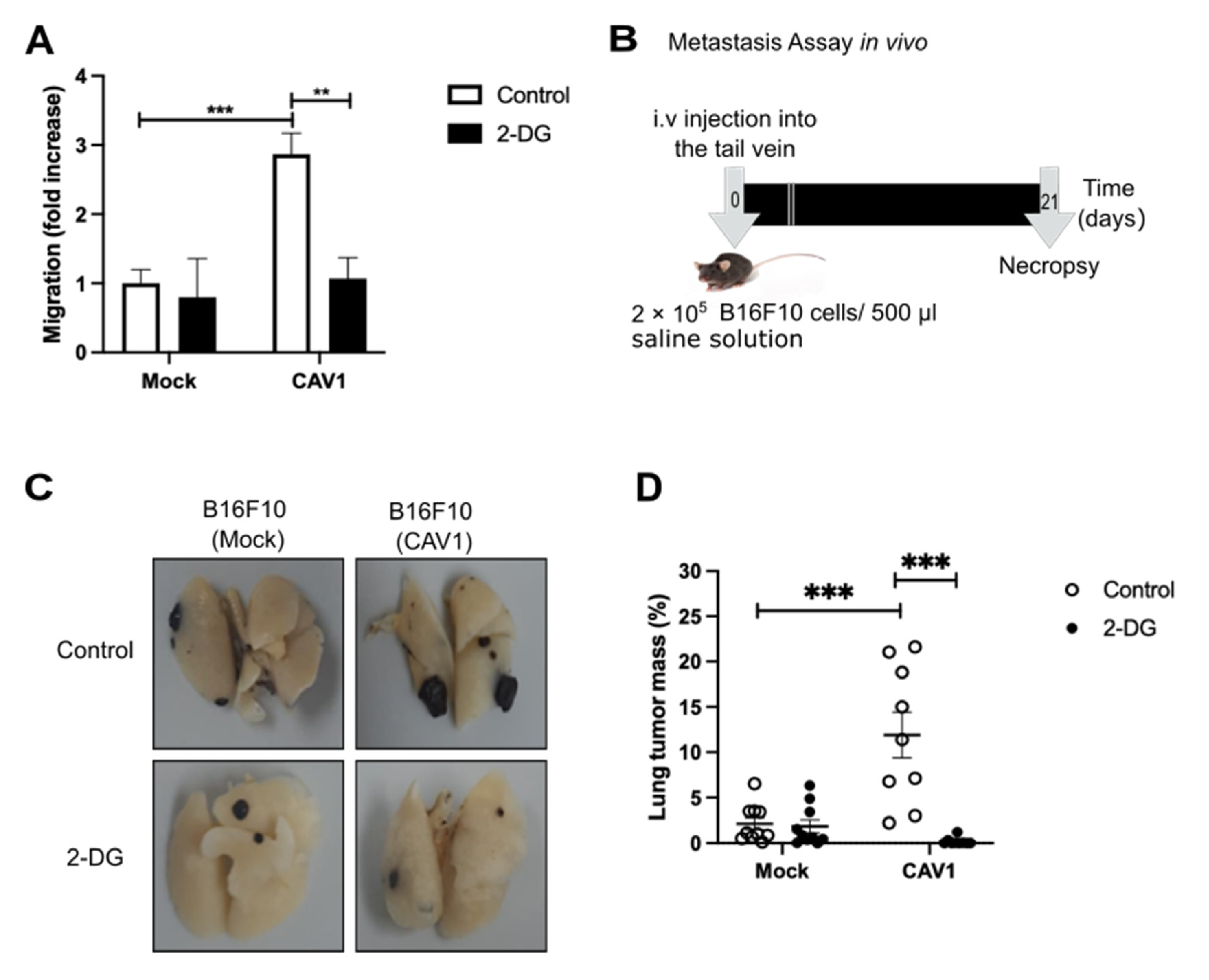 Cancers 14 02862 g007 Cancers 14 02862 g007