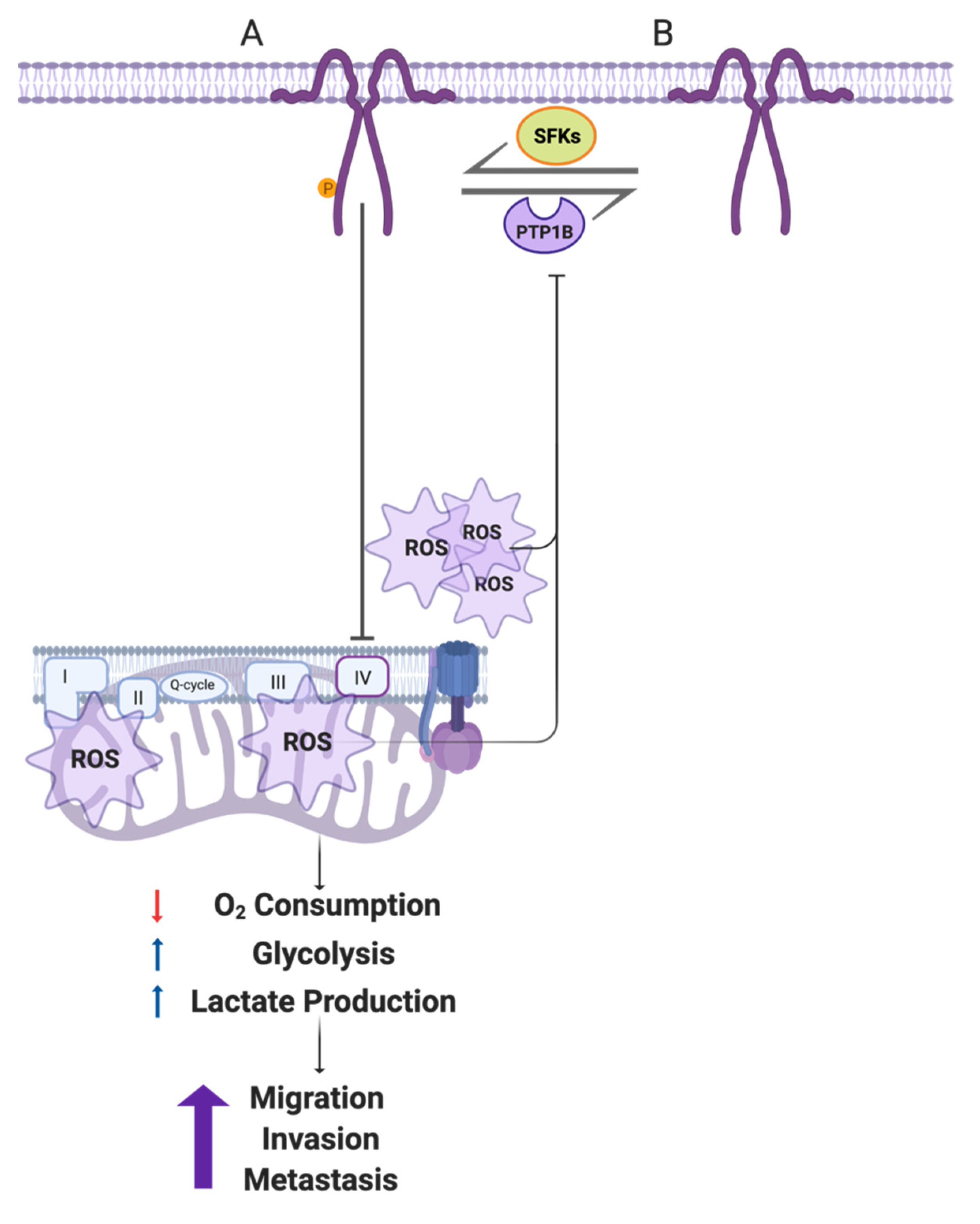 Cancers 14 02862 g008 Cancers 14 02862 g008