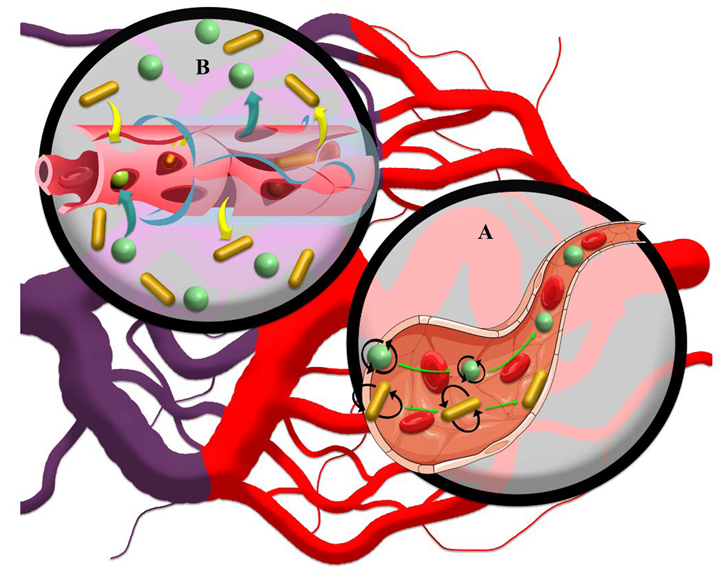 Cancers 14 02868 g003