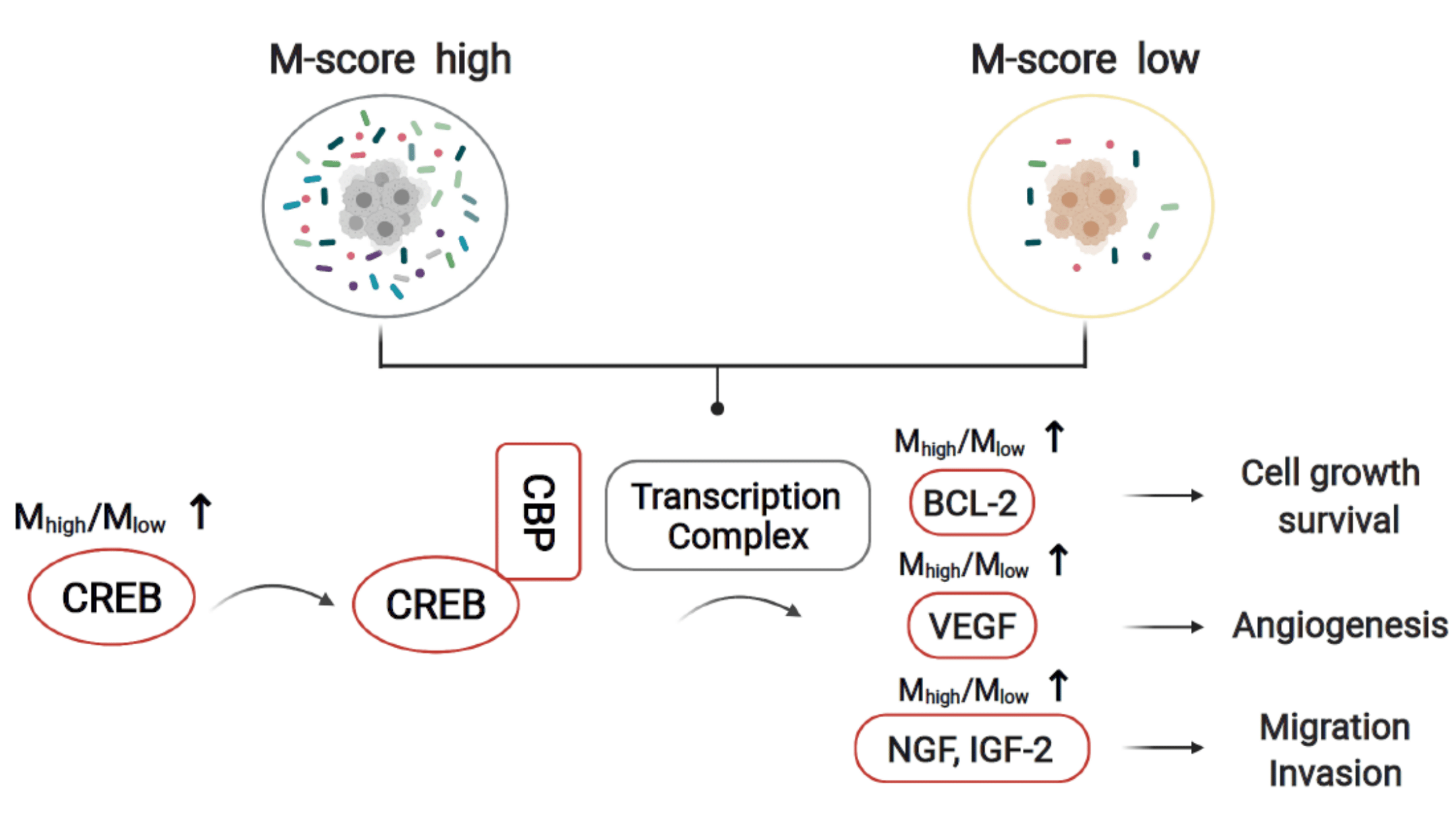 Cancers 14 02874 g007