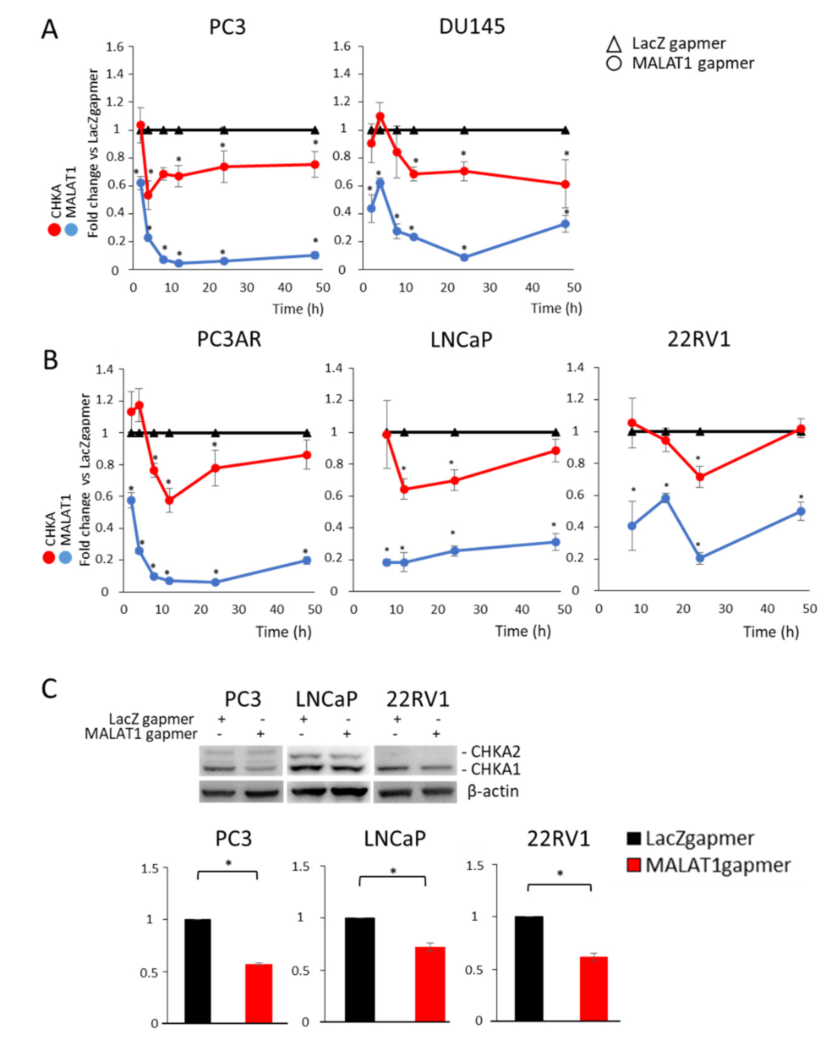 Cancers 14 02902 g002