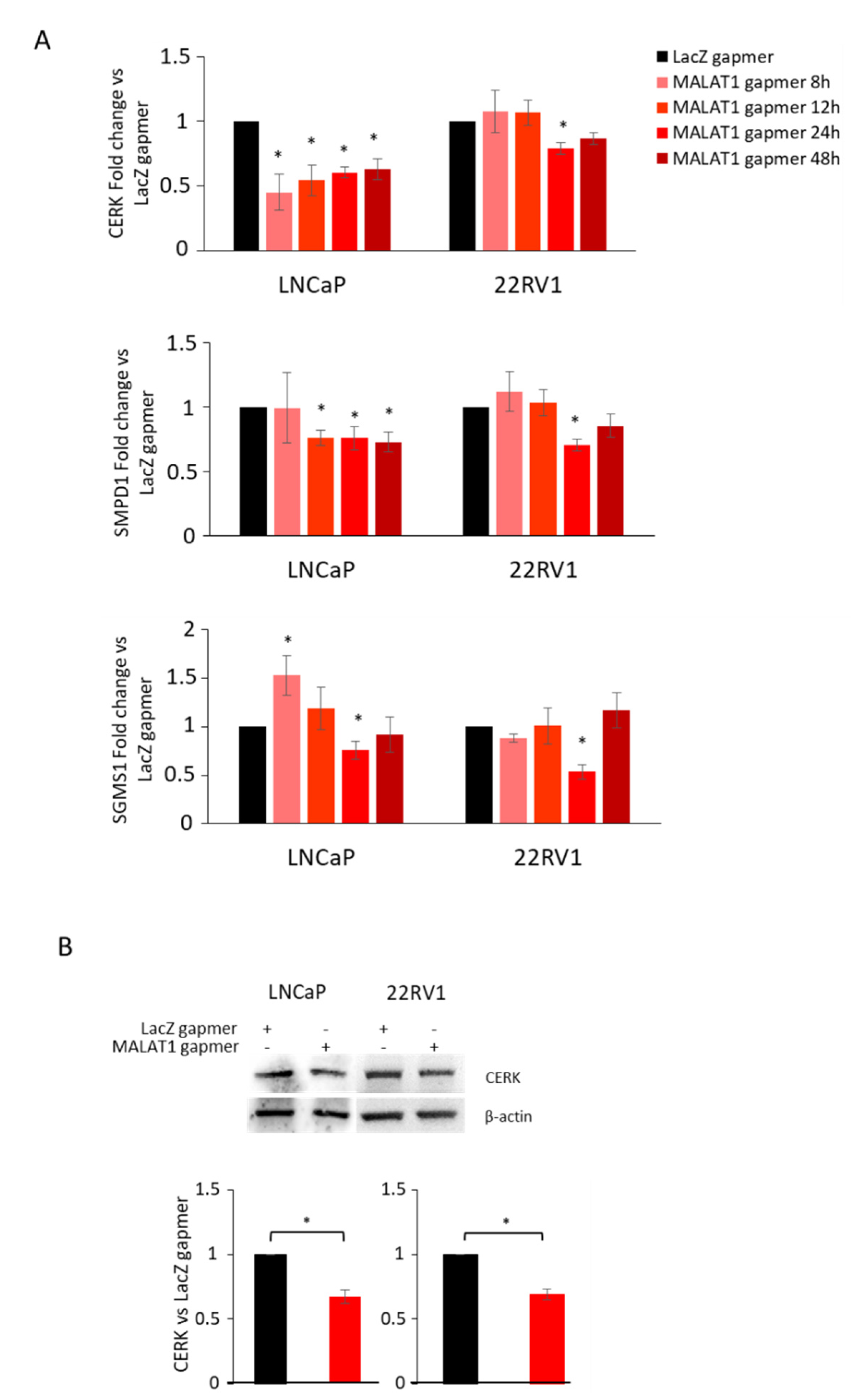 Cancers 14 02902 g005