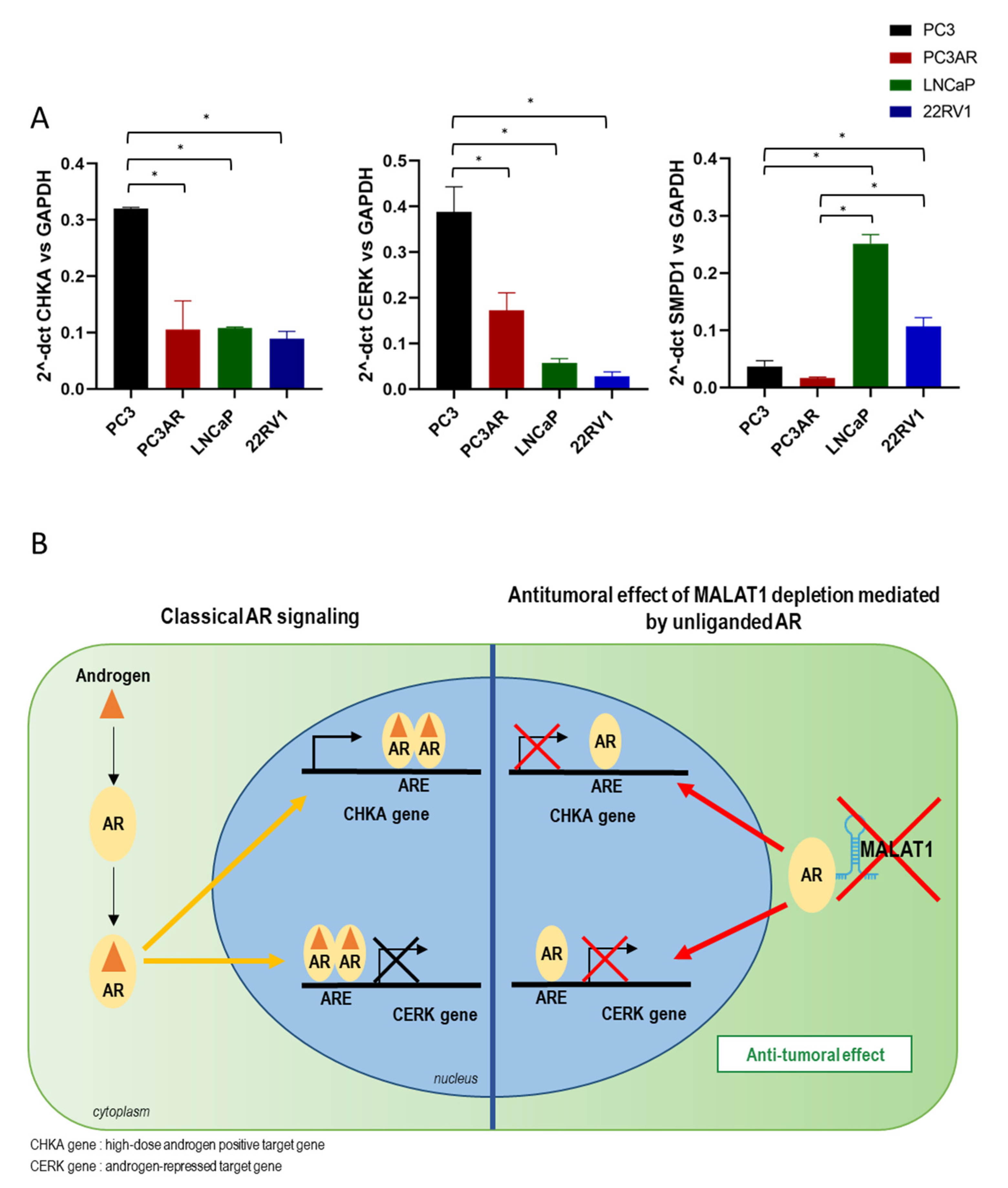 Cancers 14 02902 g008